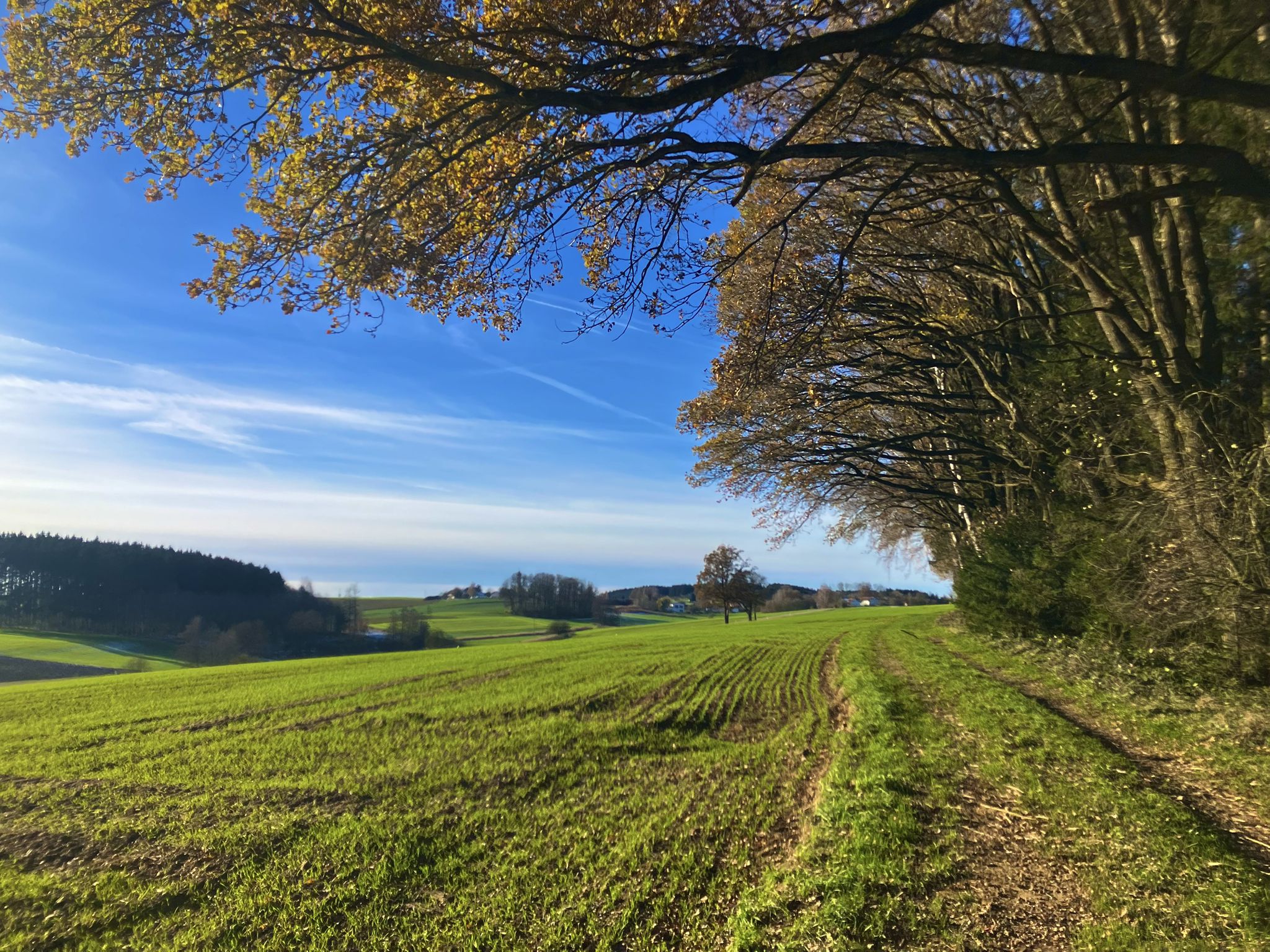 Frühling?!