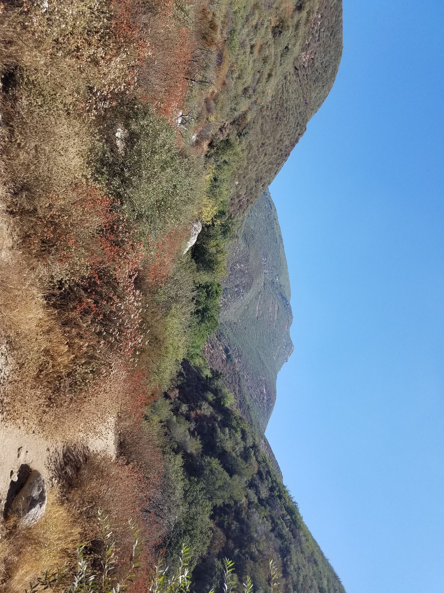 Steep, dry mountainside with sparse brush under a clear blue sky. - Etiwanda Falls Trail