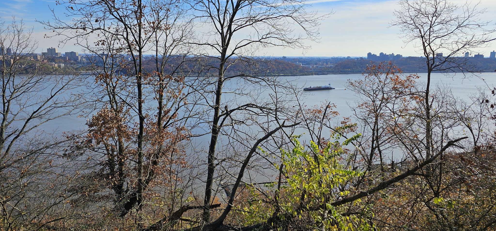 Bare trees overlook a wide river with a distant boat and city skyline. - Long Path