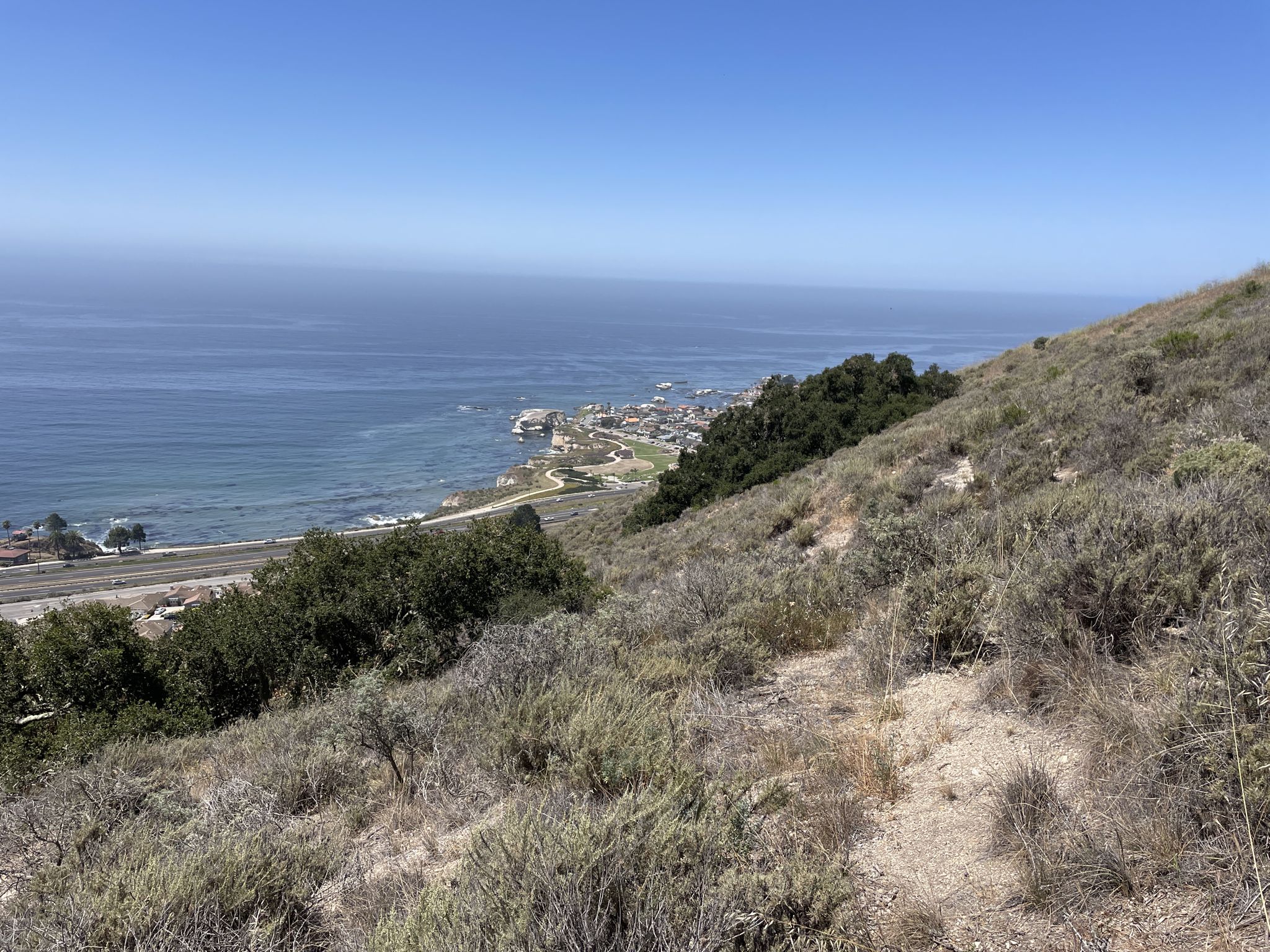 Steep, brush-covered hillside overlooking a coastal town and ocean. - Adam Hill Memorial Bench – Octopus Oak Viewpoint loop from Pismo Beach
