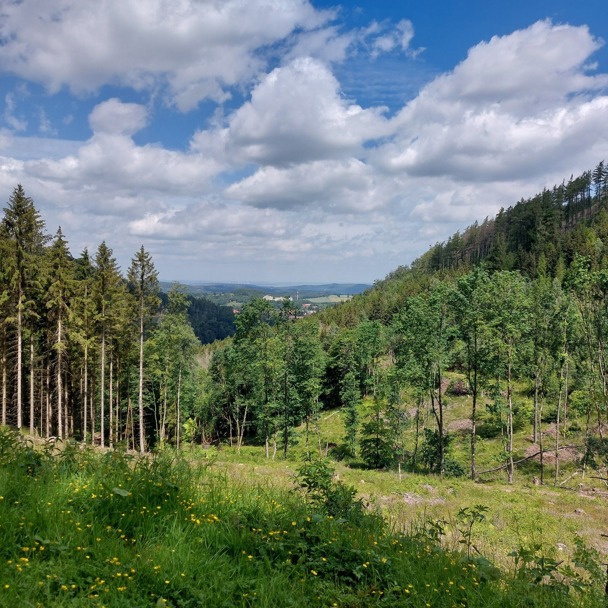 Blick auf Tabarz