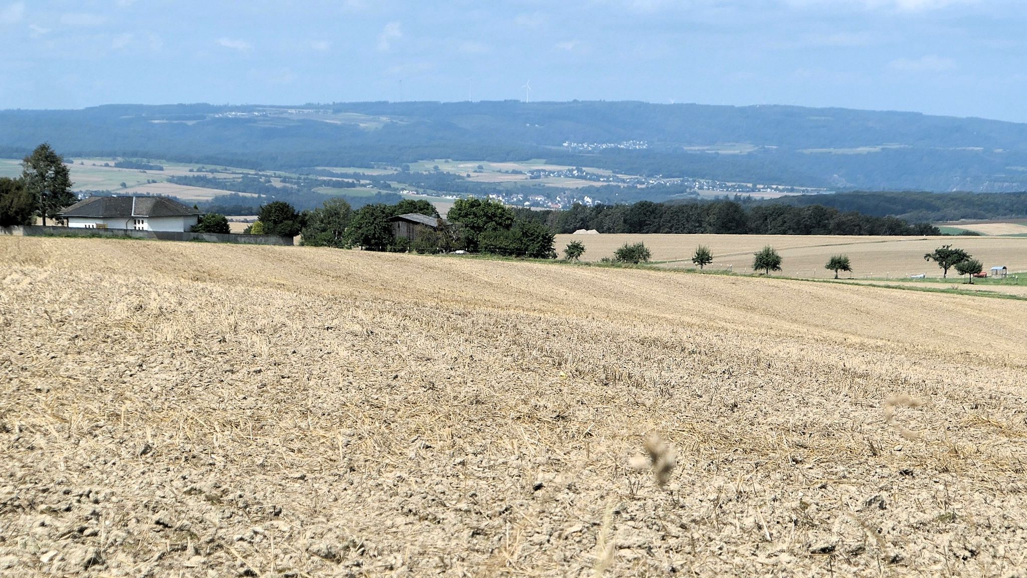 Blick ins "Blaue Ländchen" bei Oberwallmenach