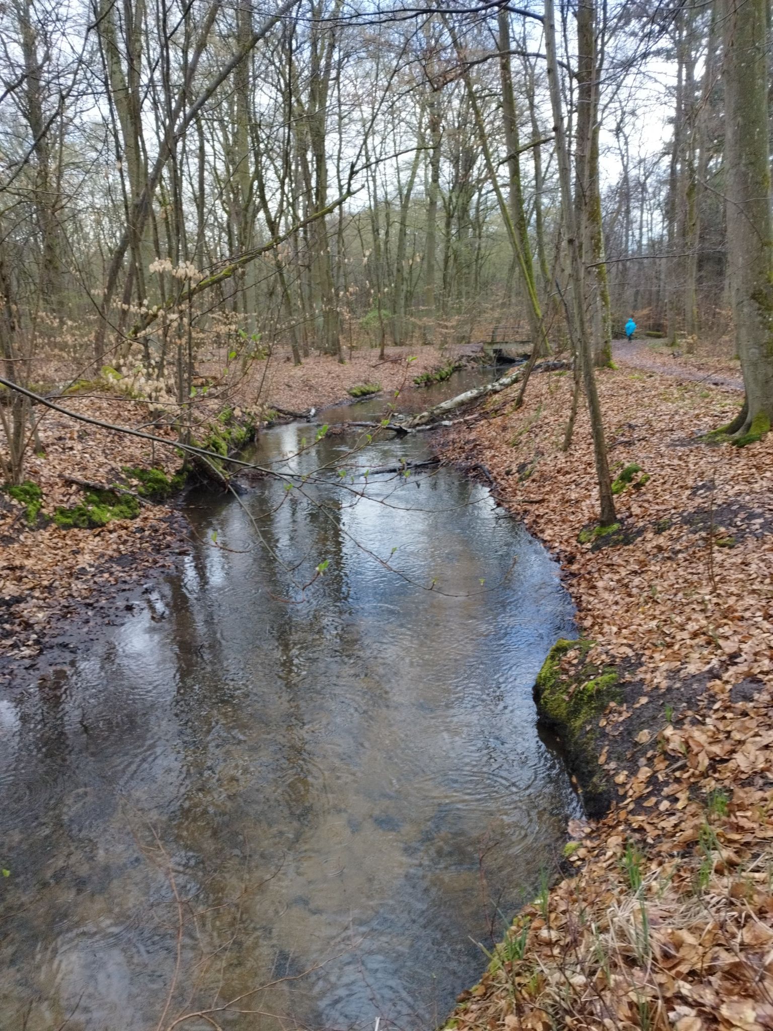 Ranchgraben