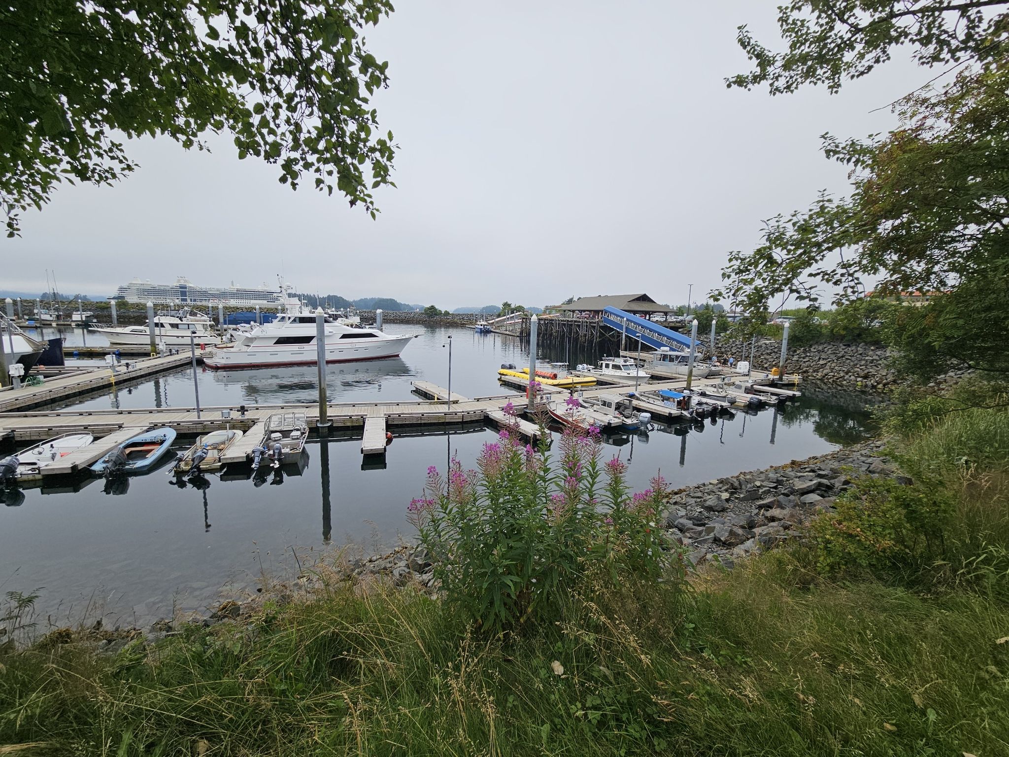Marina with boats docked in calm water, surrounded by green foliage on an overcast day. - Running loop from Sitka