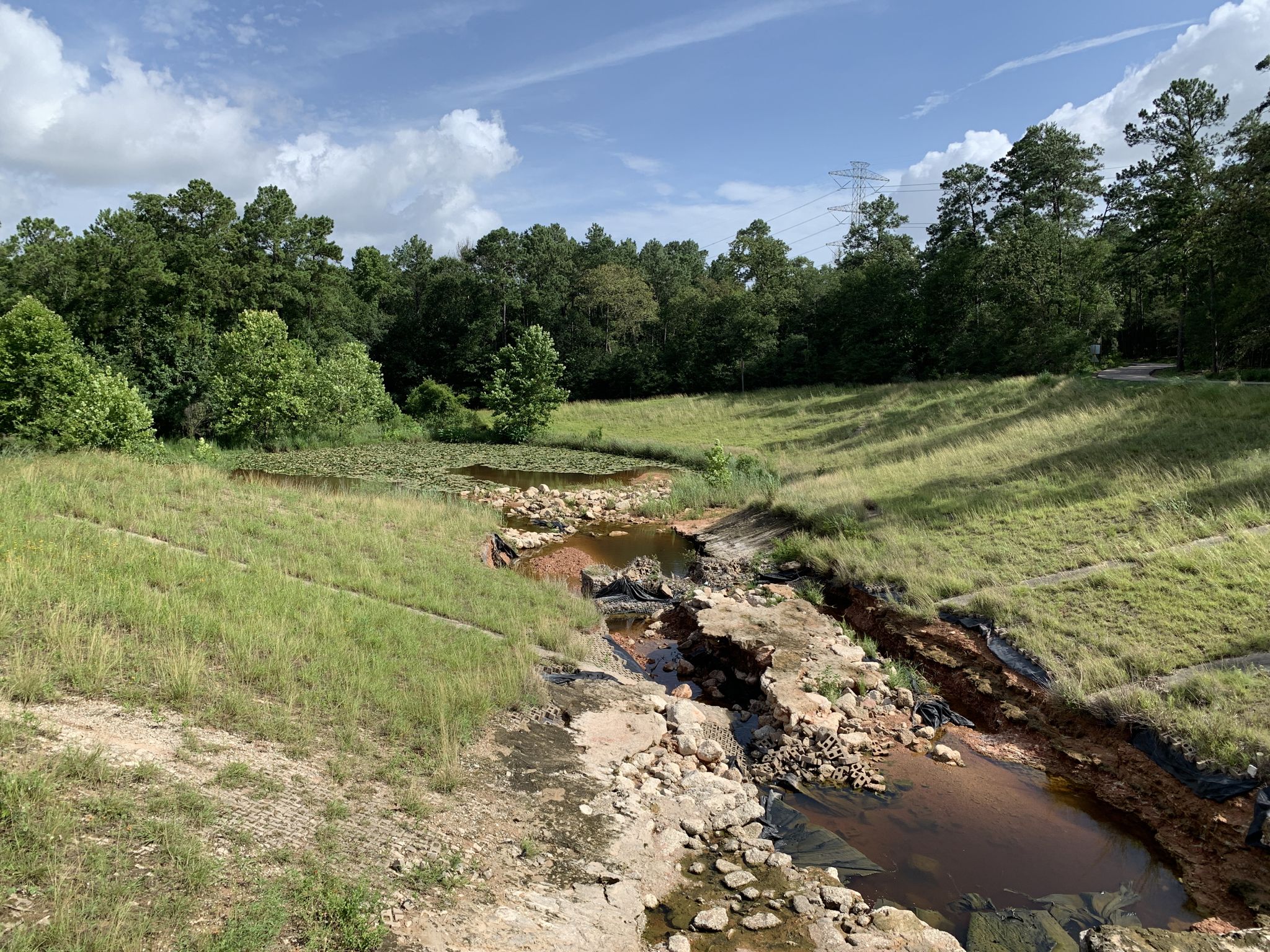 A rocky stream flows through green grassy banks under a bright sky. - Spring Creek Greenway Trail – Spring Creek Greenway loop from Kingwood