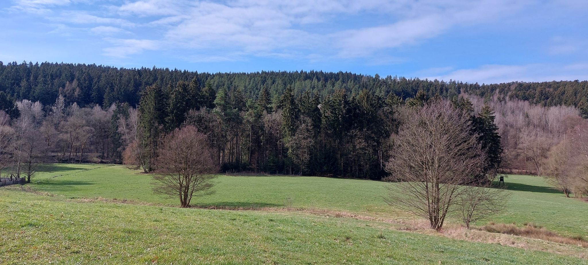 Götzschtal