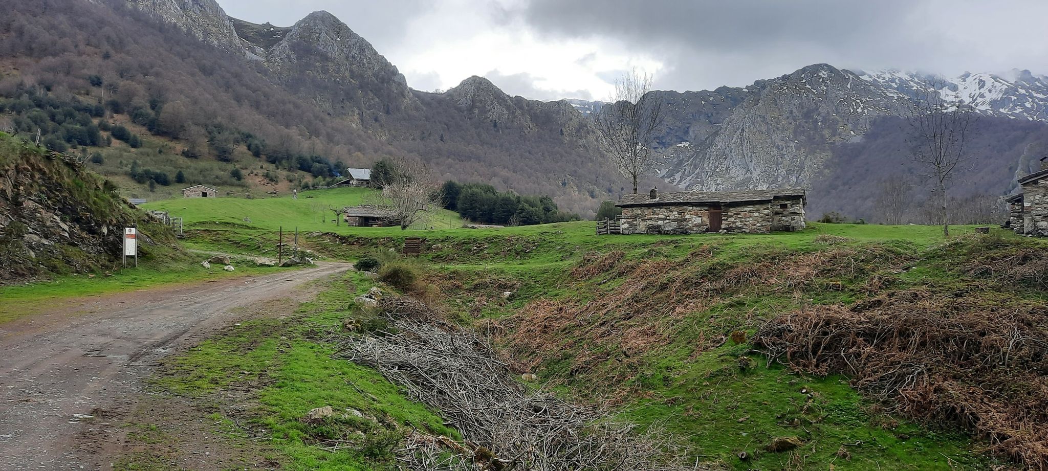 Brañagallones