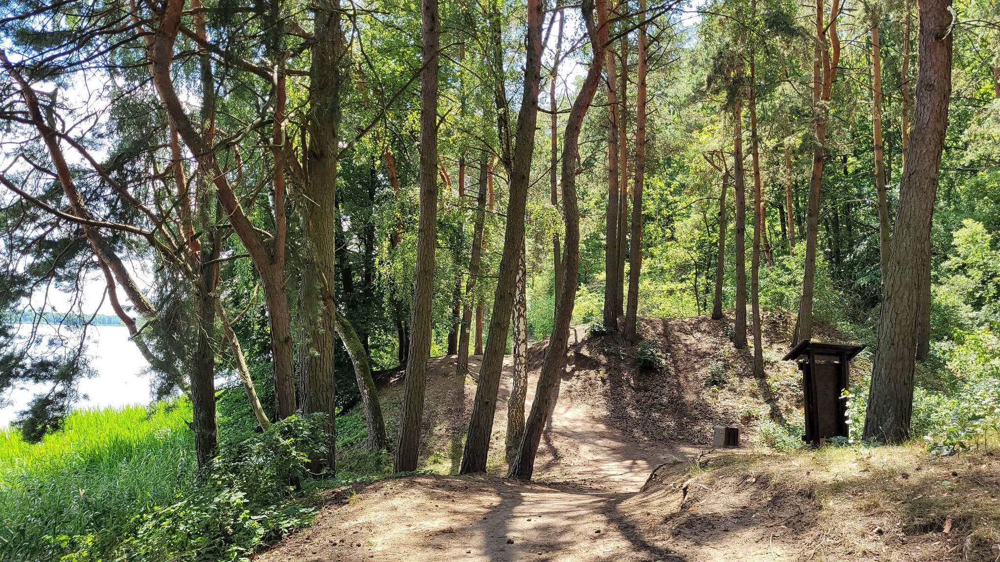 Single track wzdłuż zalewu Zegrzyńskiego, rezerwat przyrody "Jadwisin" przed Serockiem.