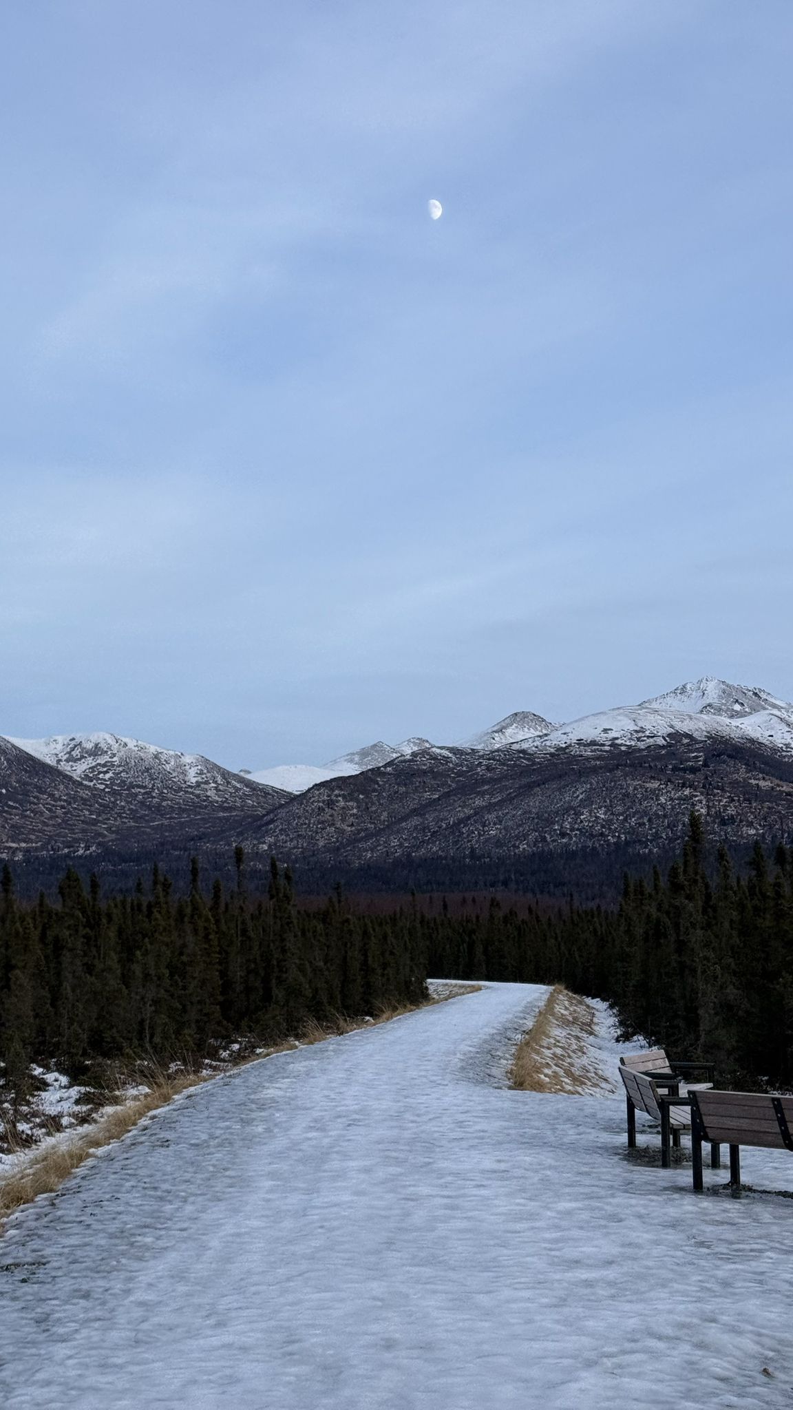 Snowy path leading to a forest with snow-capped mountains under a pale sky. - FNBP to Glenn Hwy Trail