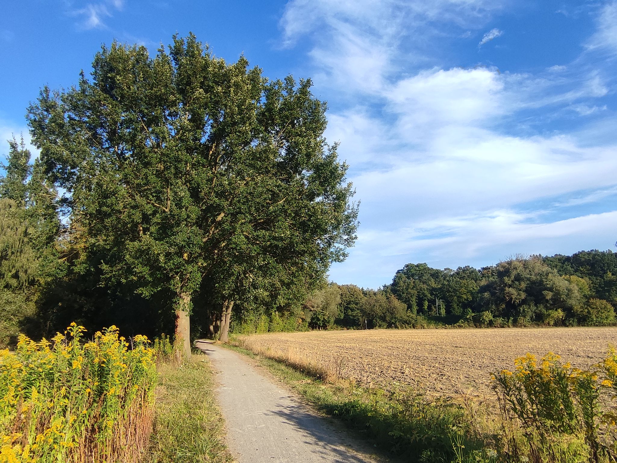 durch die Felder Richtung DO-Kurl