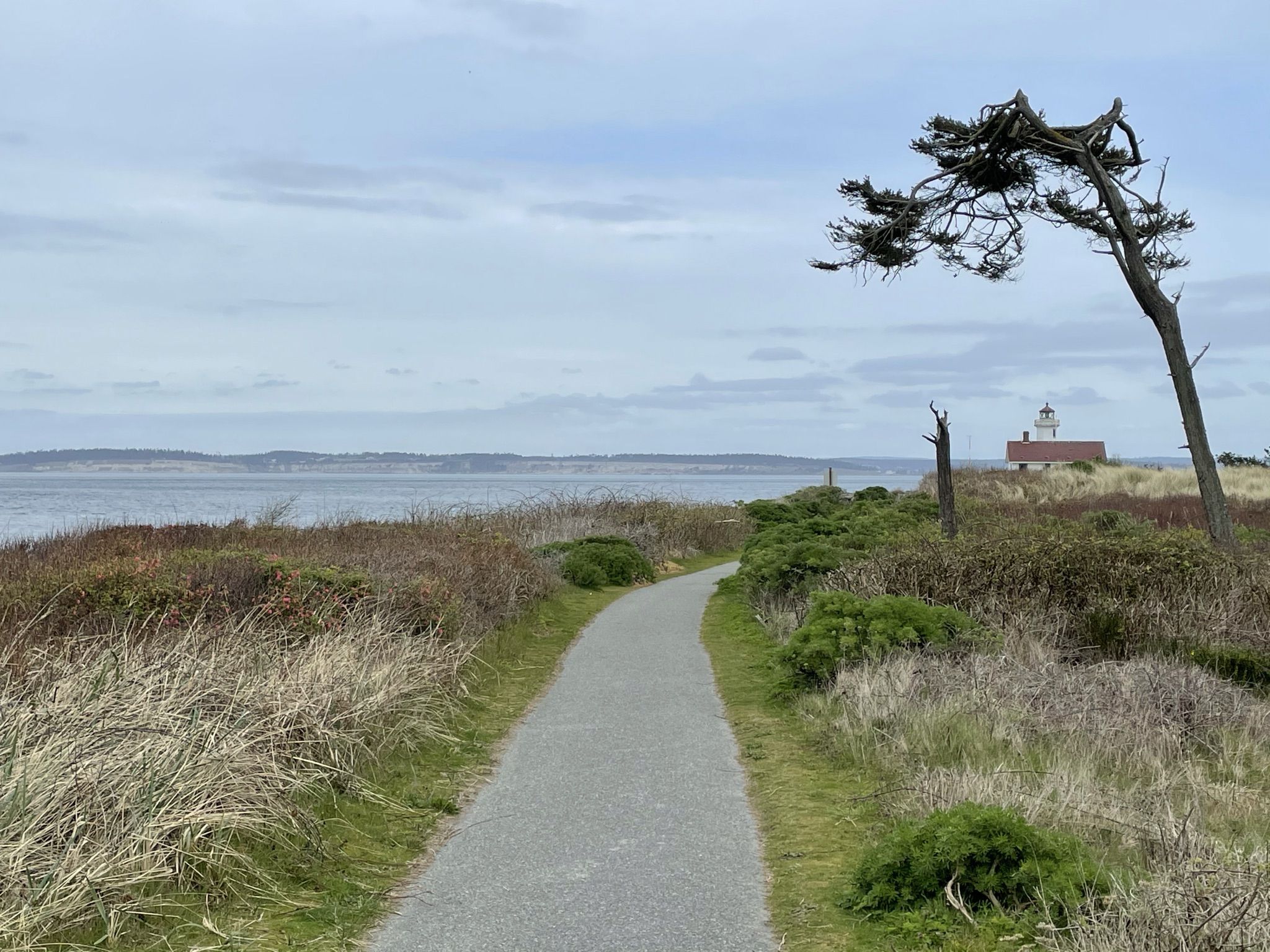 Paved path leading to a distant lighthouse on an overcast coastal day. - Point Wilson Trail