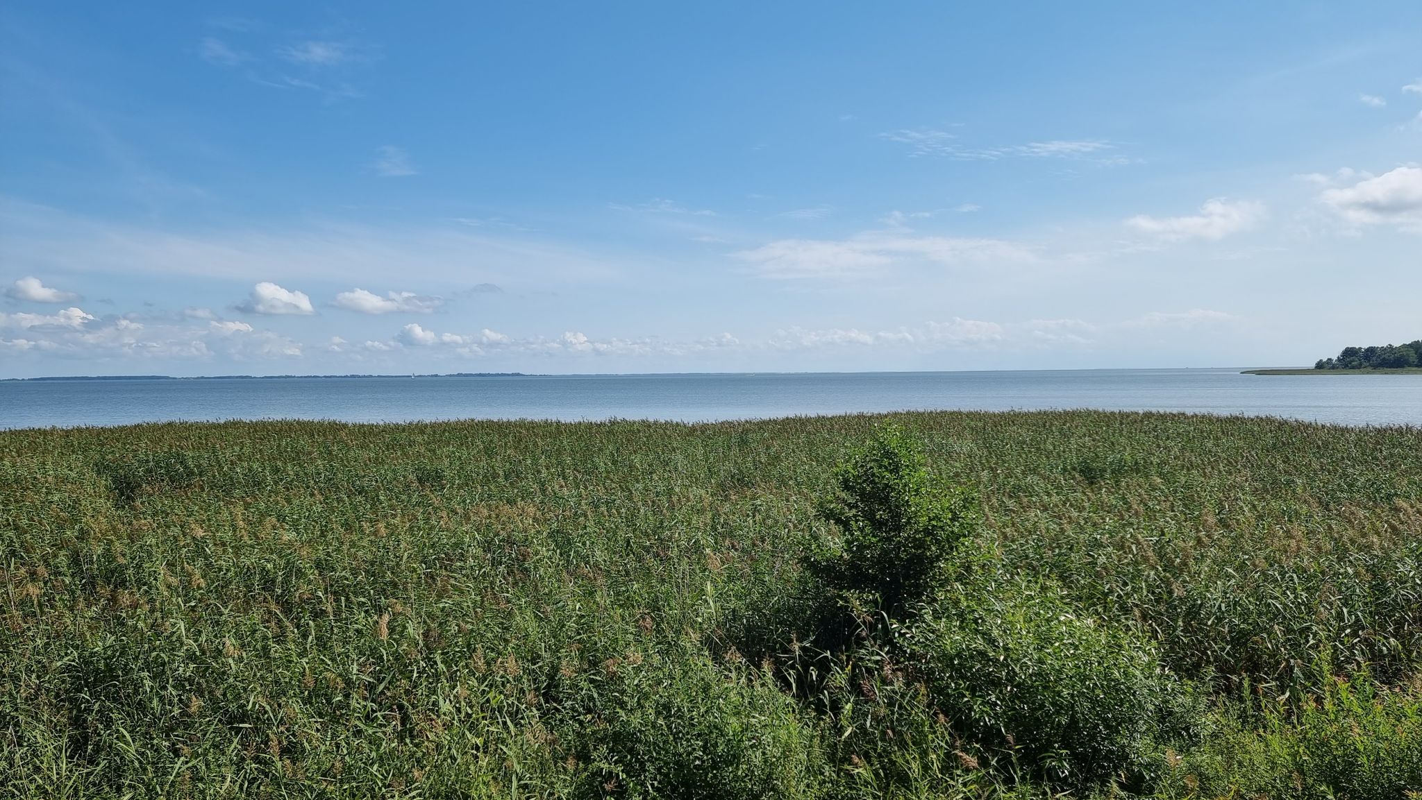 Blick übers Haff zum Festland