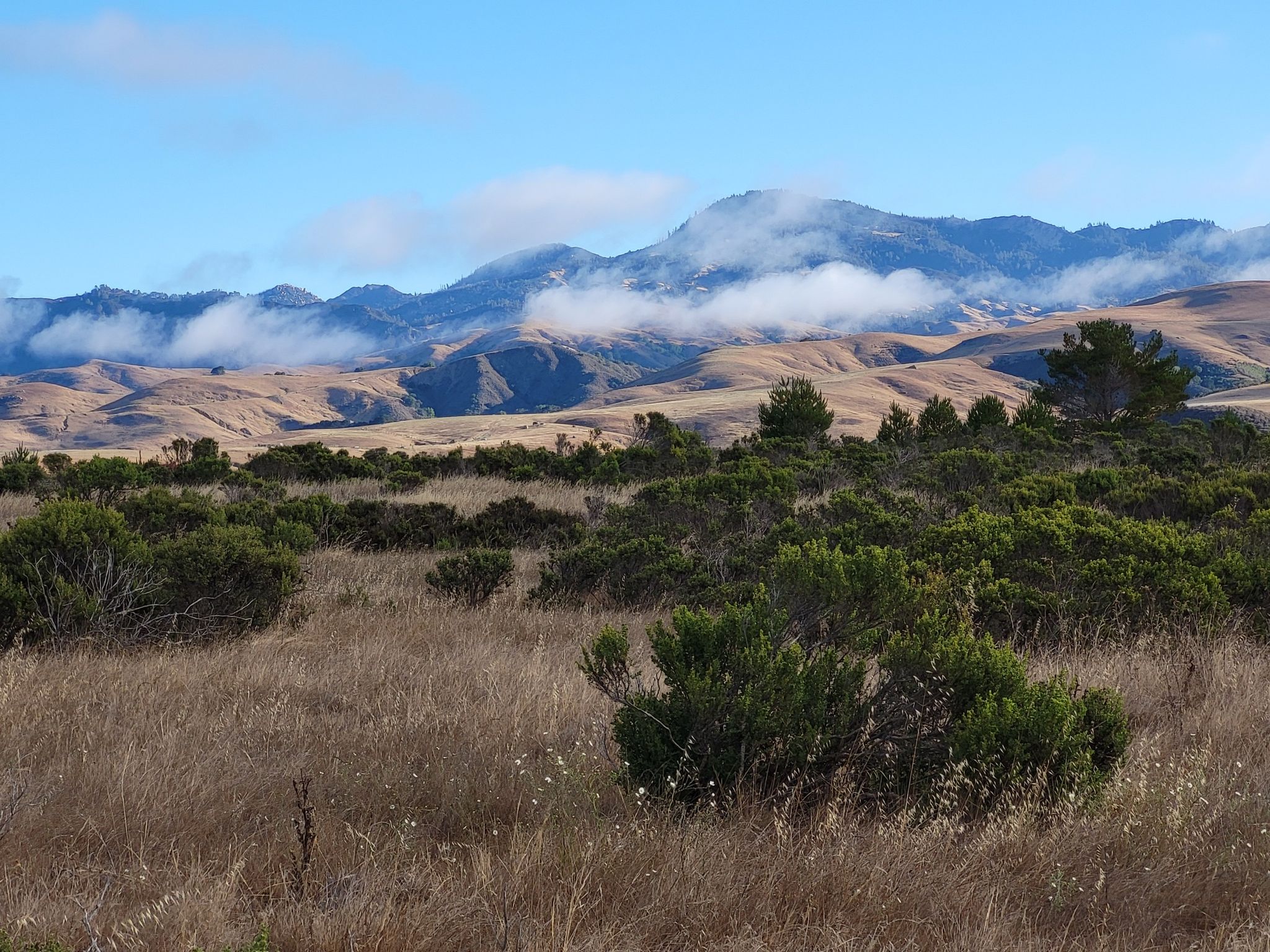 Rolling hills and mountains with low clouds over dry grass and green shrubs. - San Simeon Creek Trail