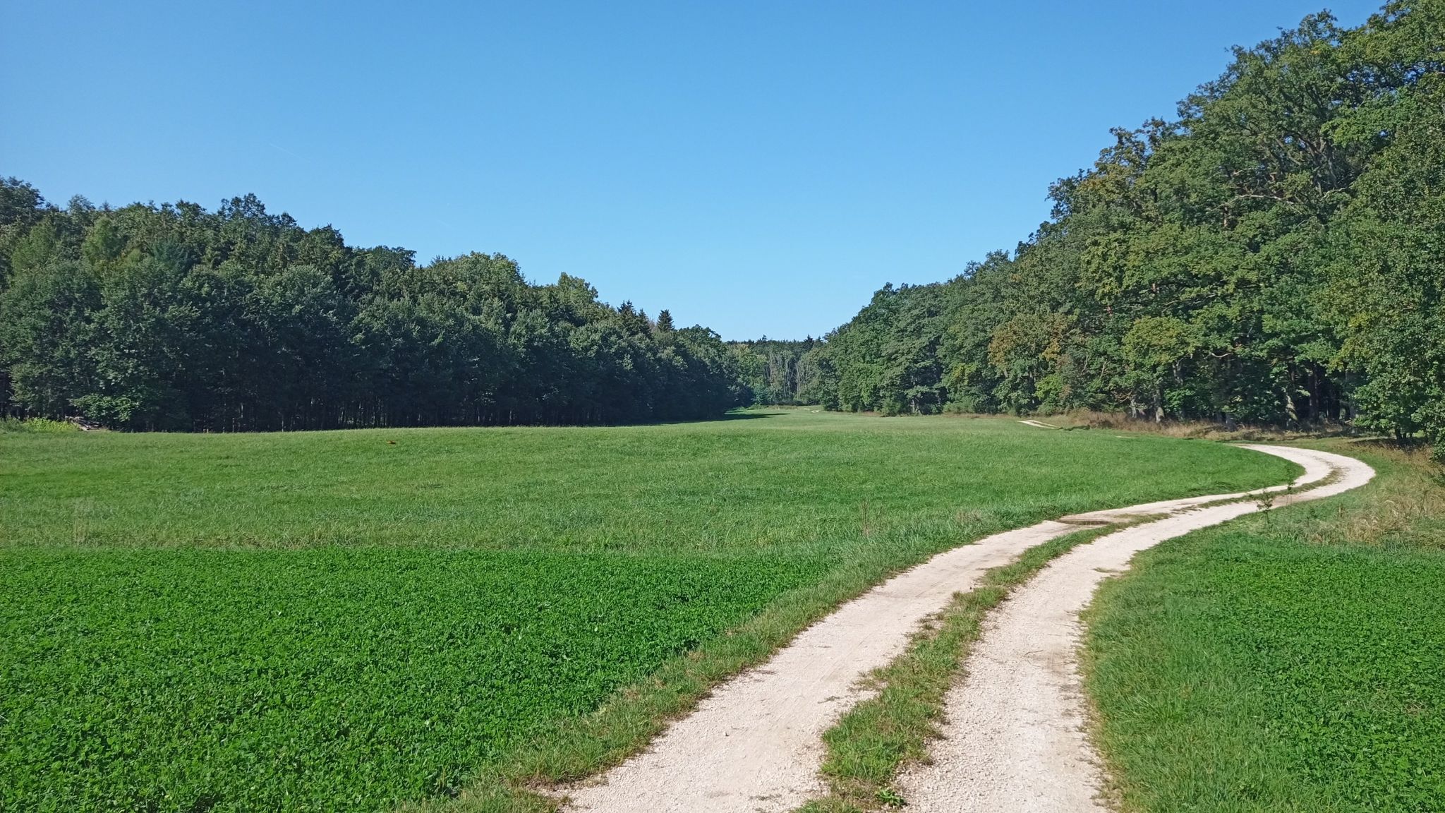 am Lohholz entlang