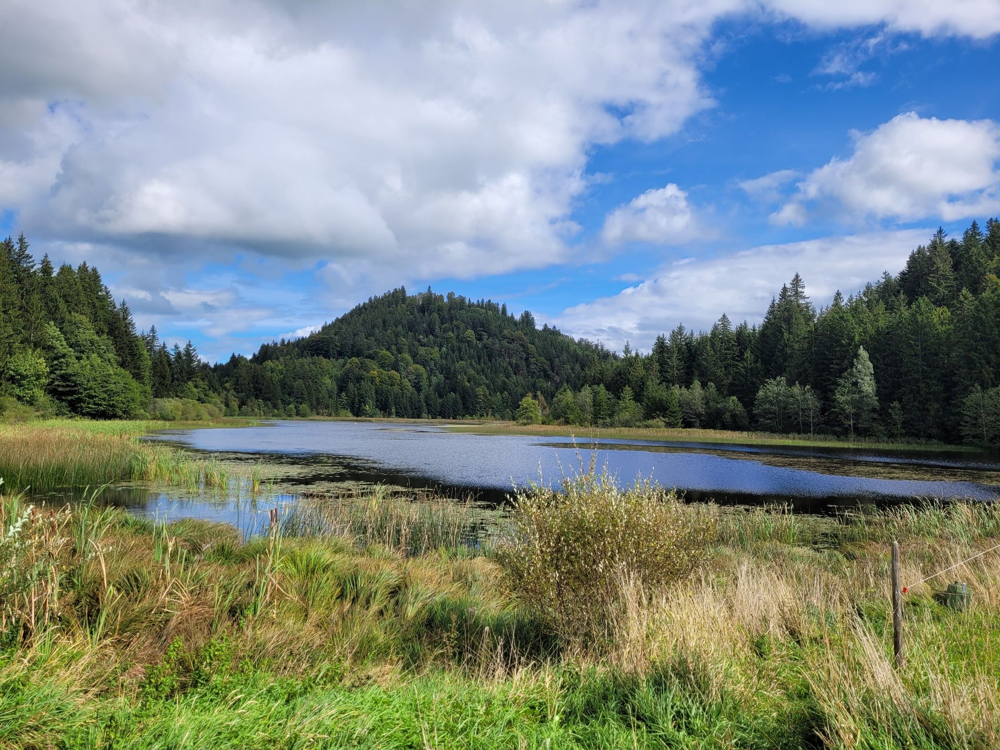 Blick über den Schweinegger Schlossweiher zum Berg mit der Ruine Hohenfreyberg