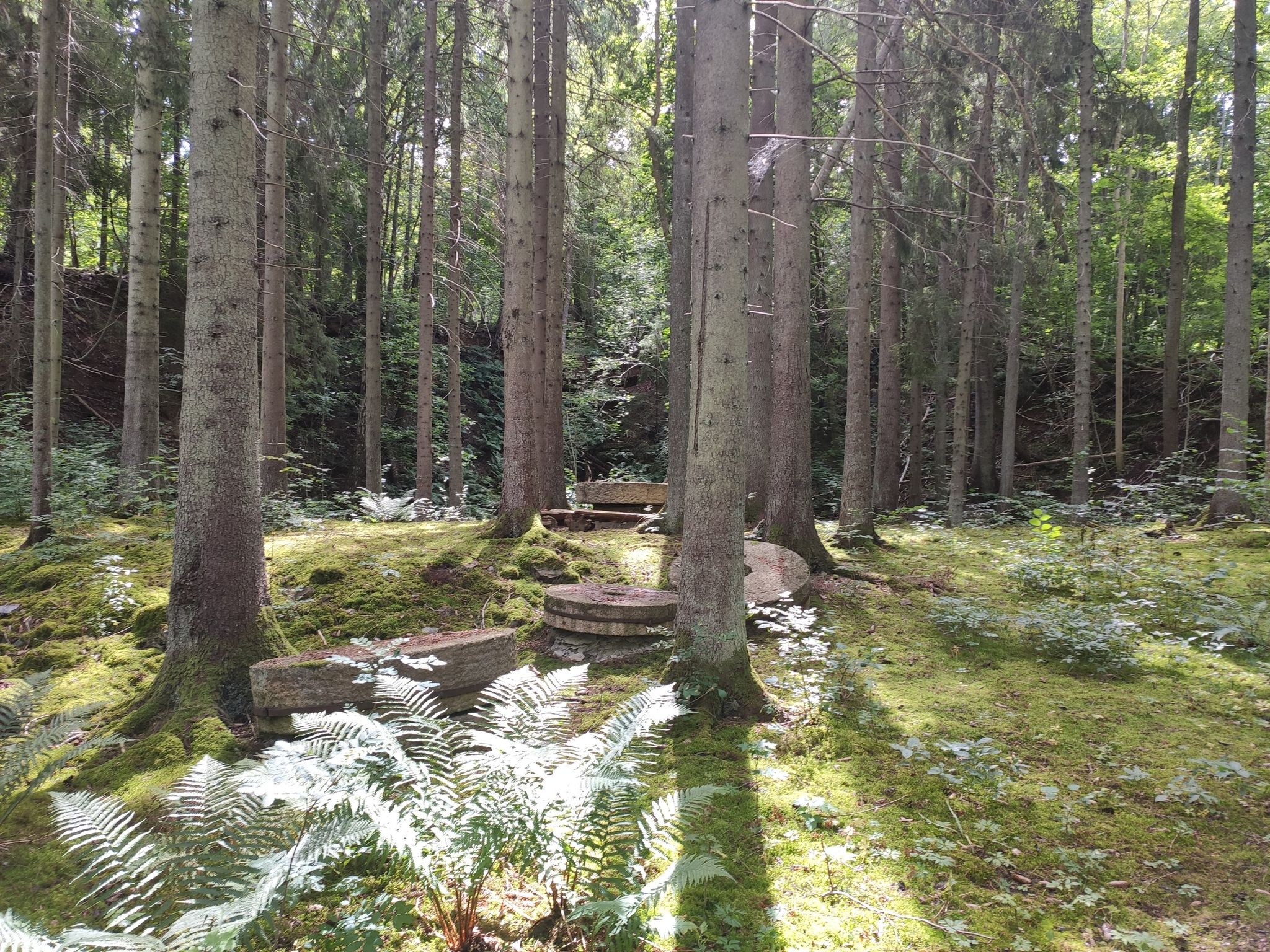 Lugnås - Mühlstein am Stenhuggarstigen beim ehemaligen Steinbruch