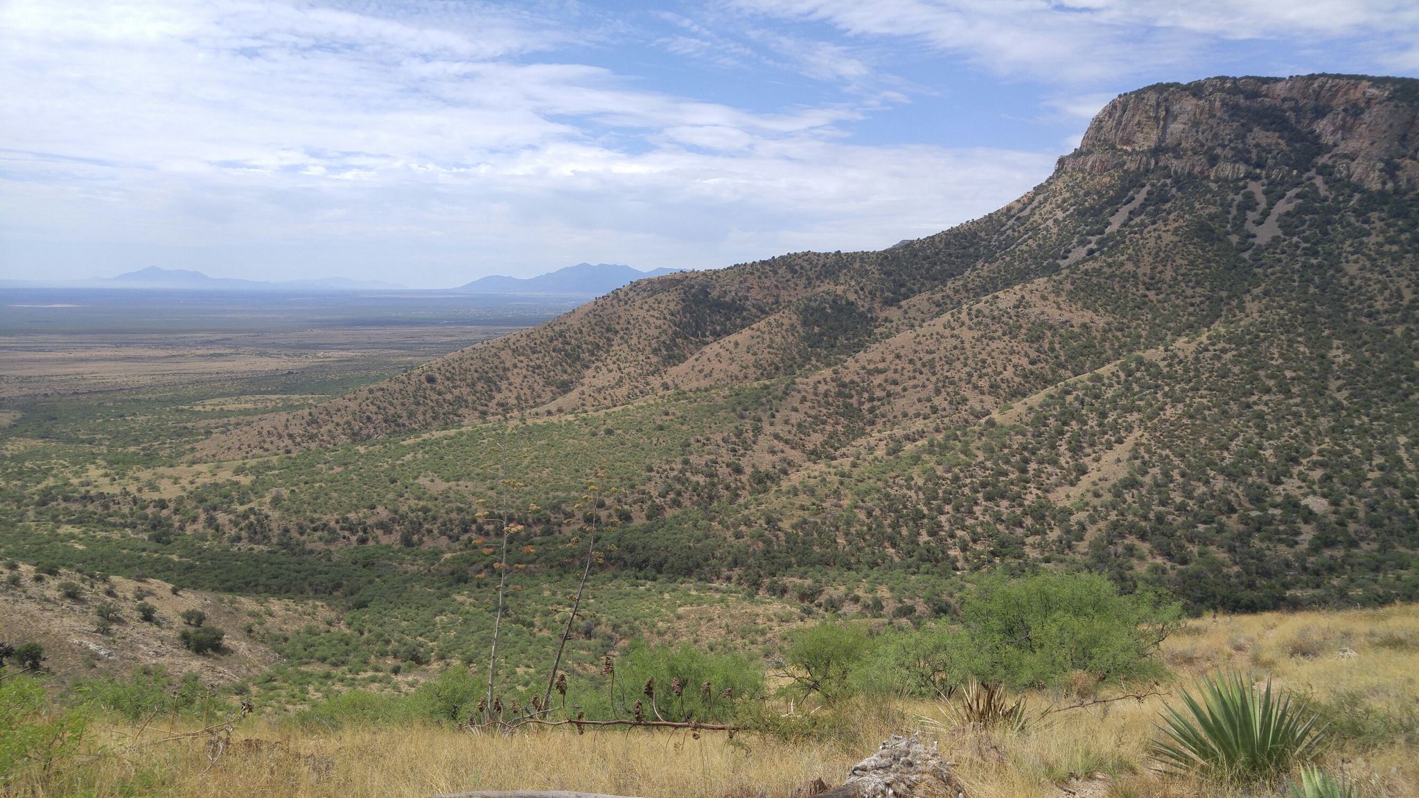 The valley below.