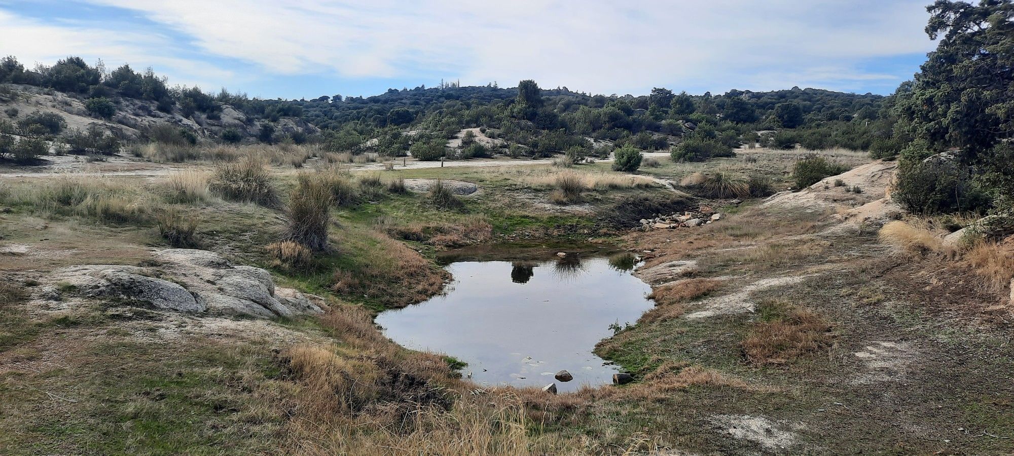 Laguna