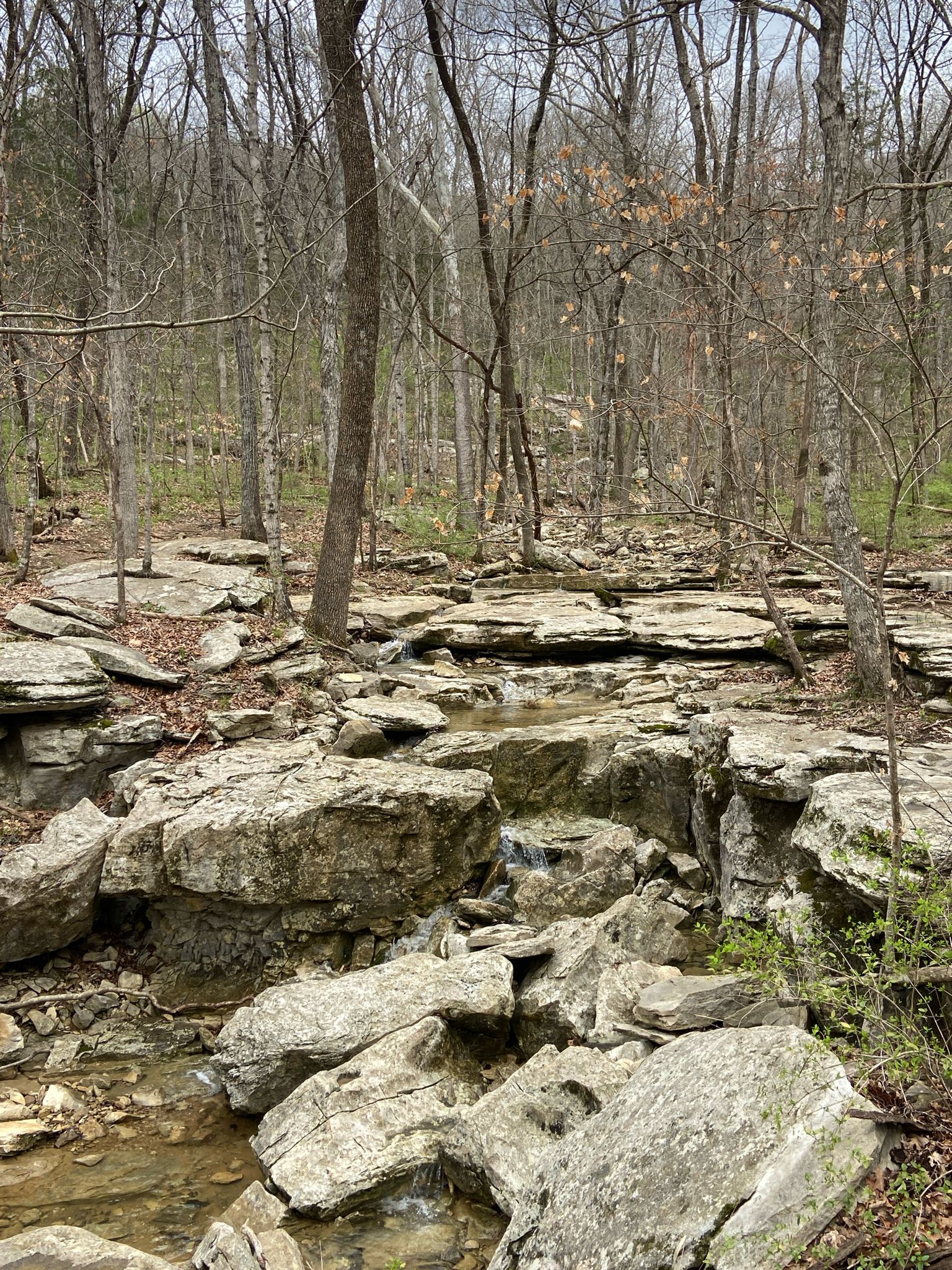 A rocky stream flows through a bare forest under natural light. - Wagon Trail and High Trail Loop
