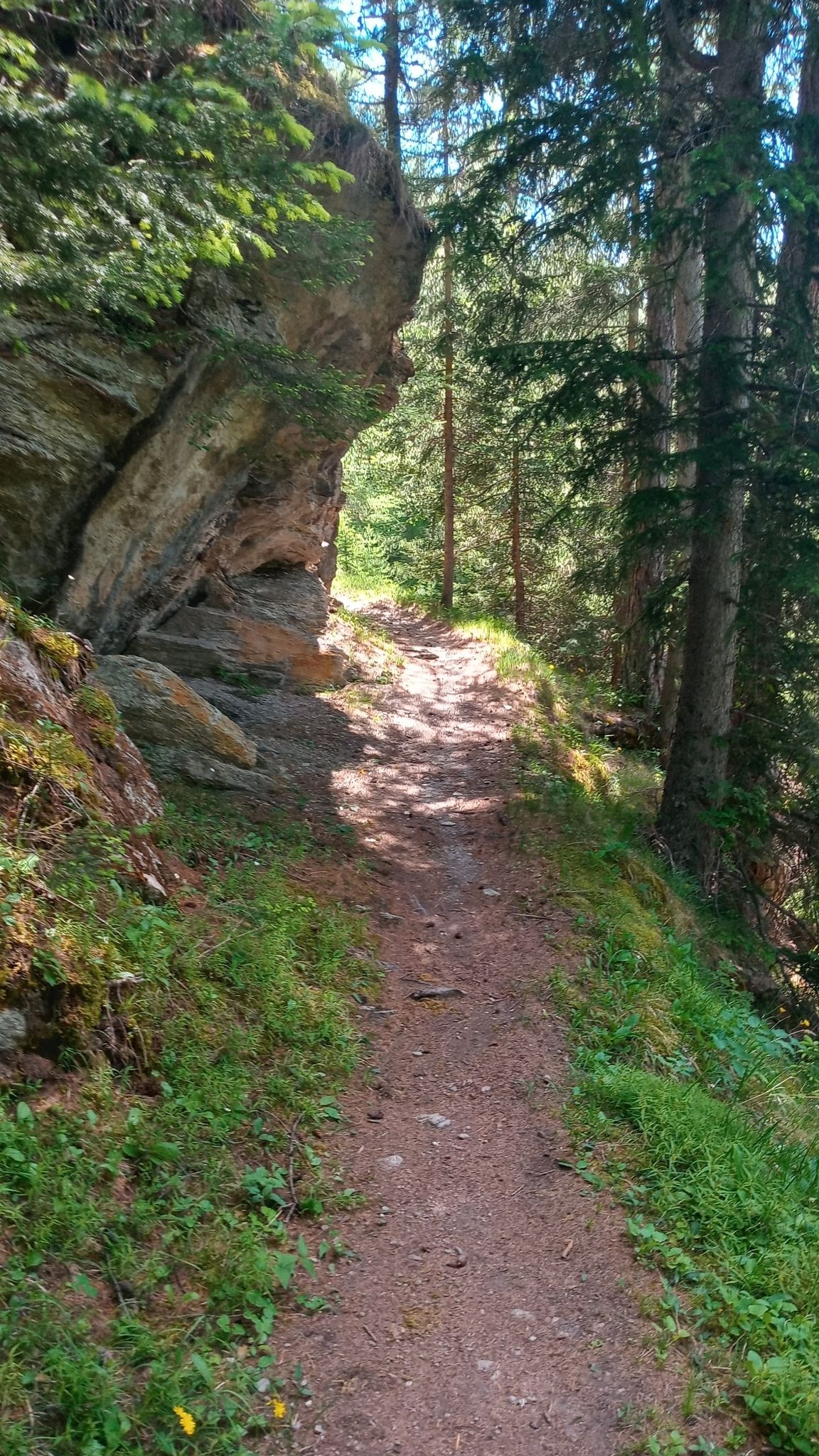 Cool single track above Lanslevillard