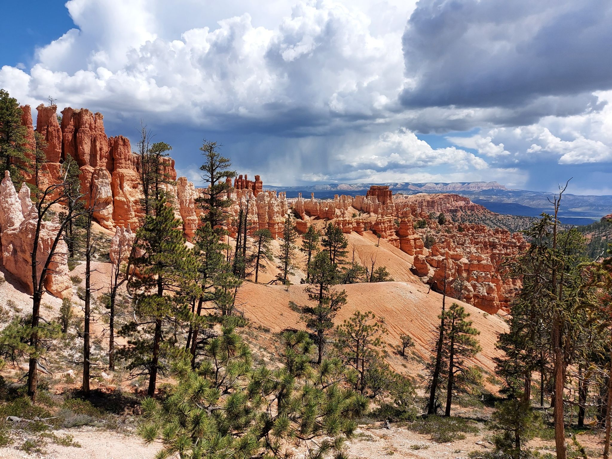 Red rock formations and green trees under a cloudy sky with distant rain. - Peekaboo Loop Trail