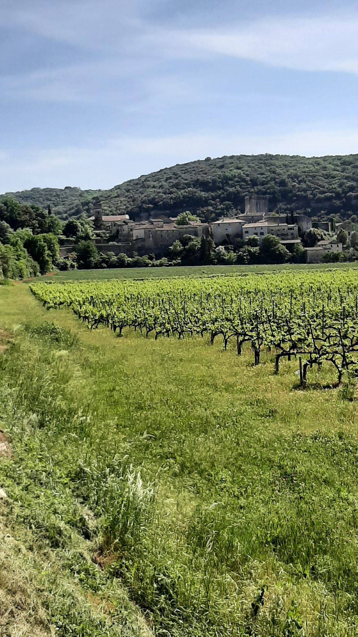 Montclus