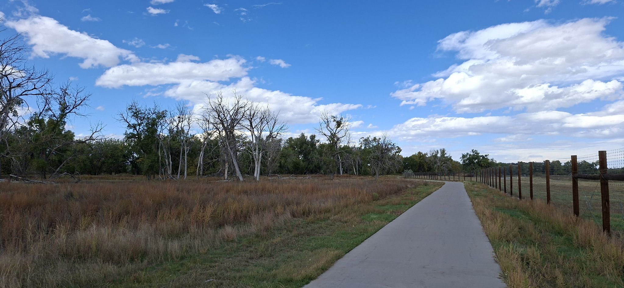 Paved path through a dry grassy field under a bright blue sky. - South Platte River Bridge – Valente Lake loop from Brighton