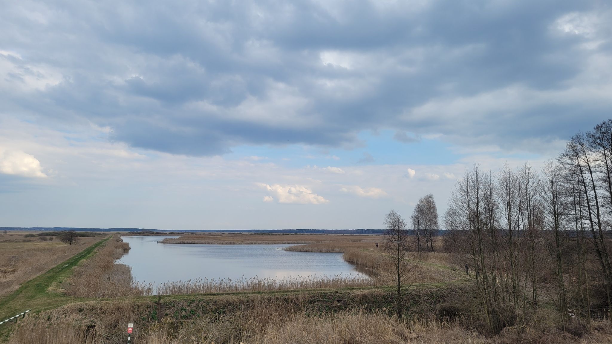 i widok z wieży ornitologicznej na staw "Maria".
