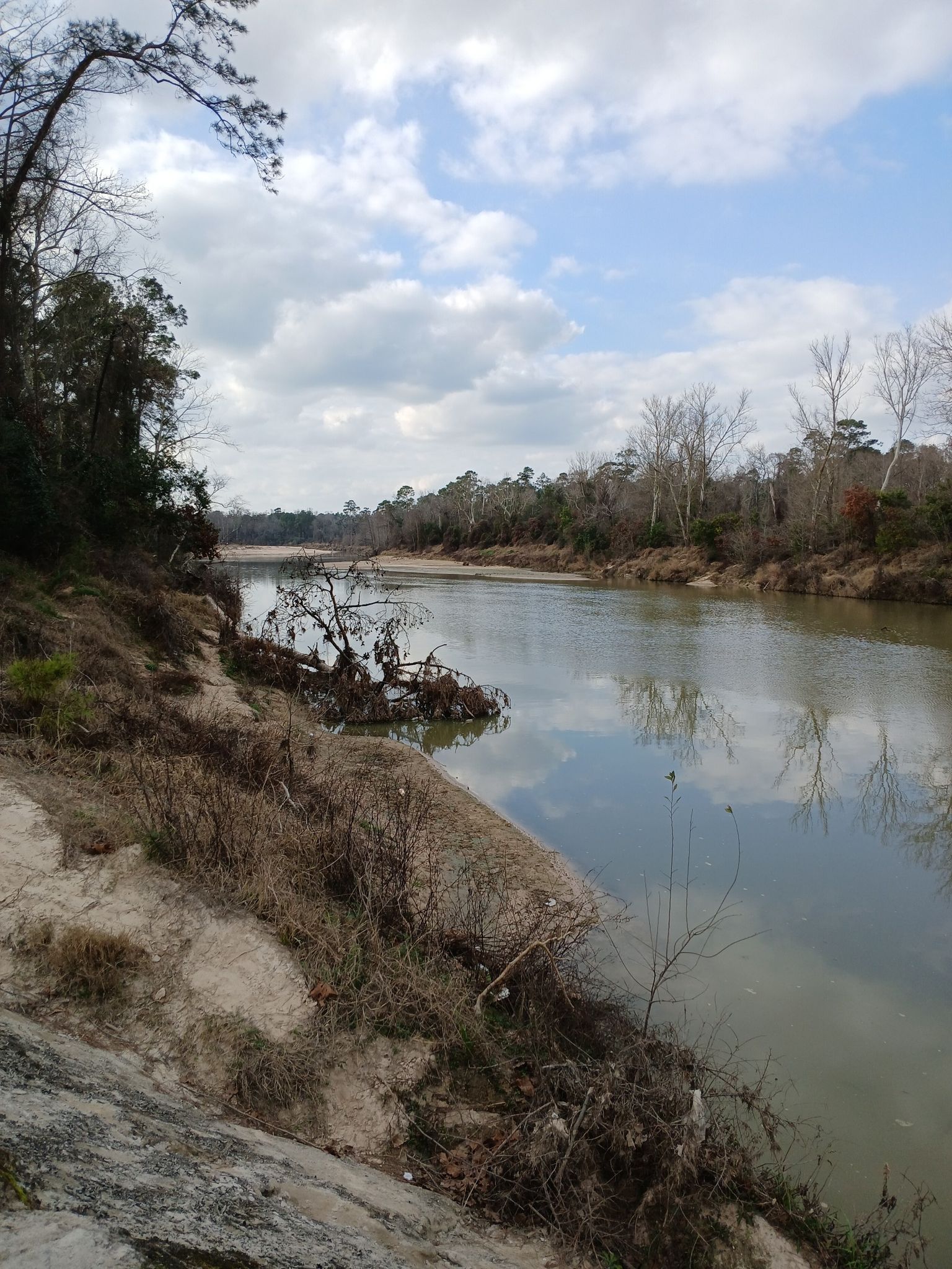 Wide river with sandy banks and bare trees under a cloudy sky. - Eastex Frontage Road to Spring Creek Canoe Launch Trail