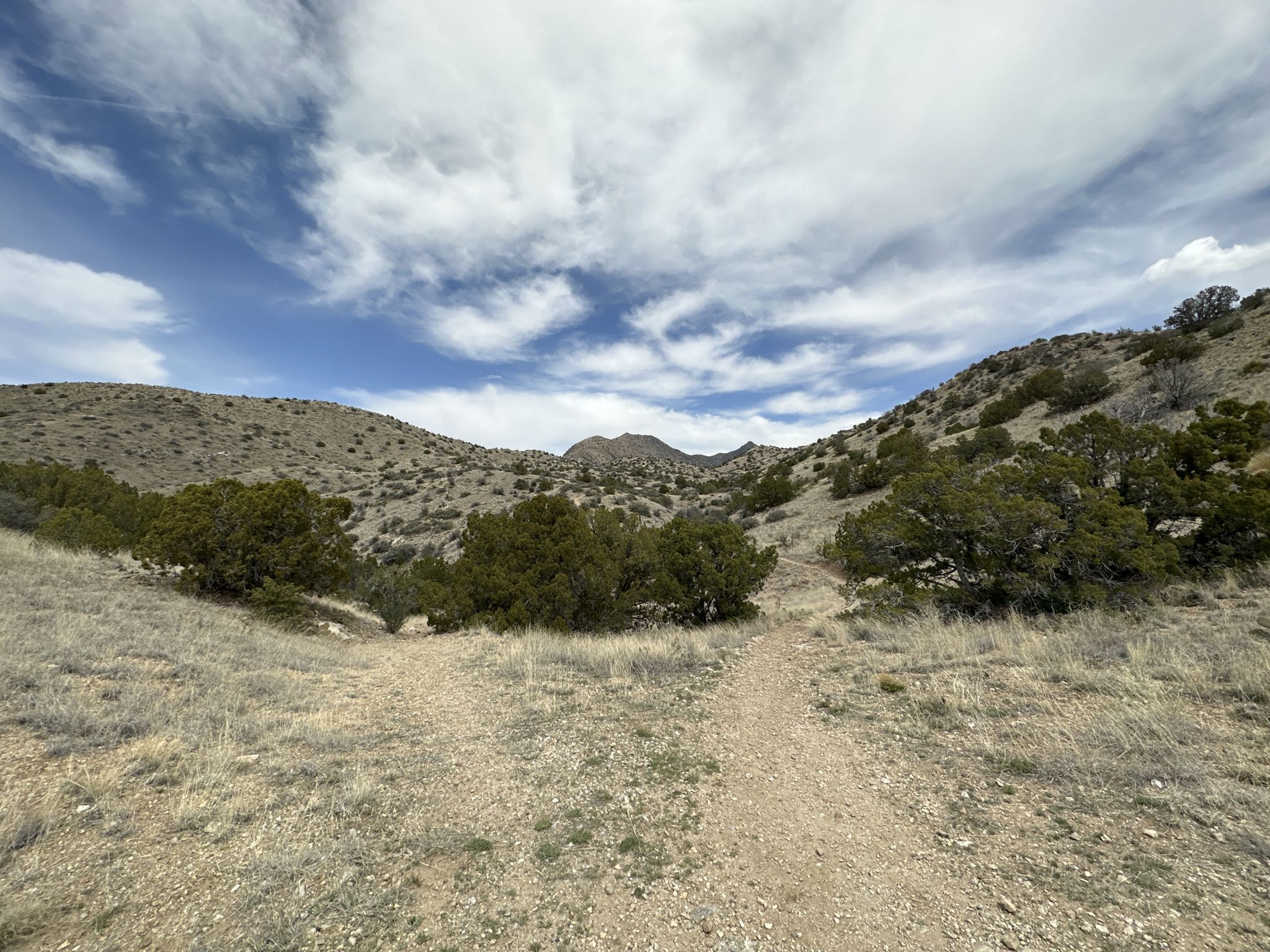 A fork in a dirt path through dry, brushy hills under a cloudy sky. - Jaral and Granite Loop Trail