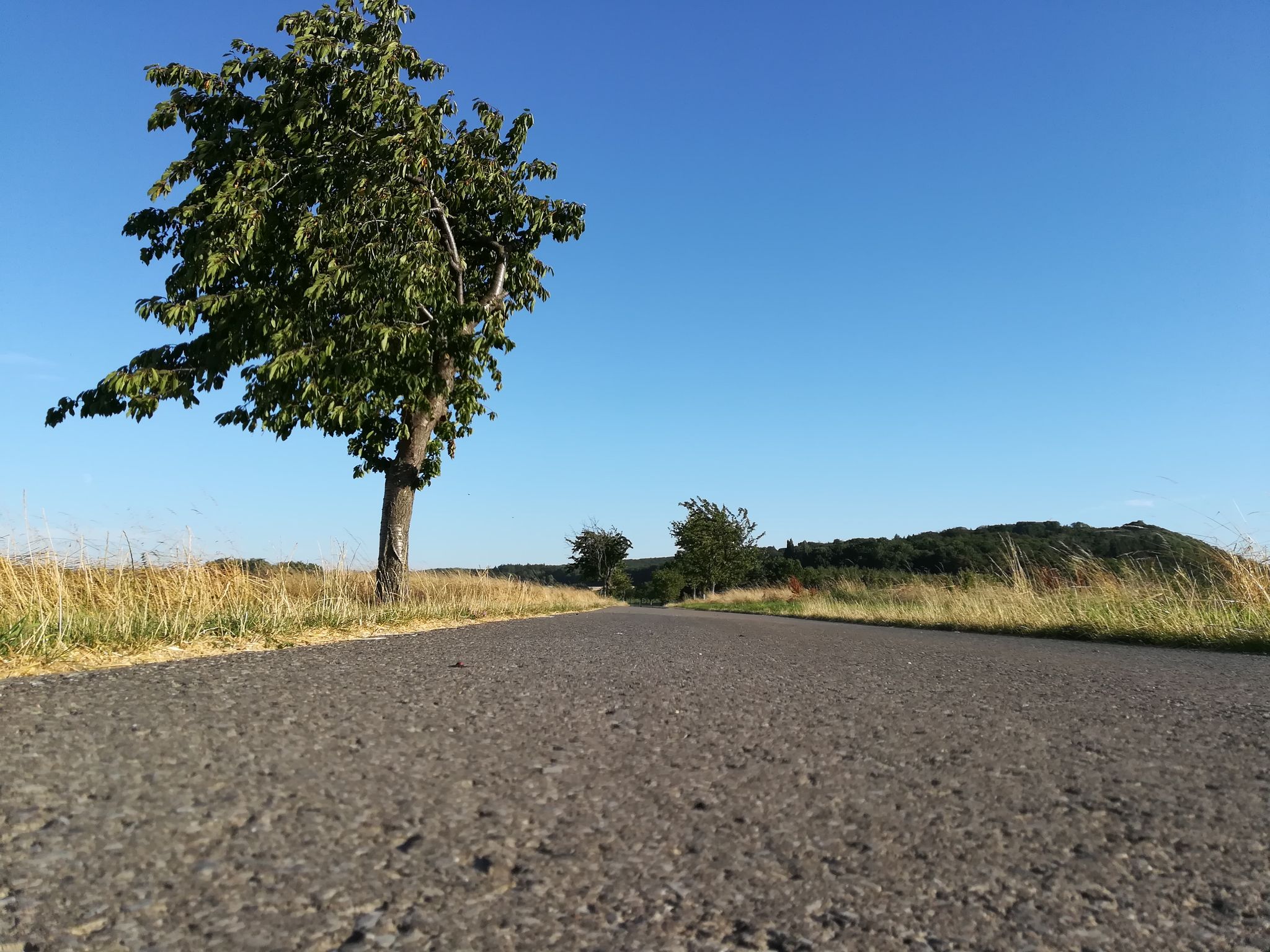 Über den Berg nach Holle