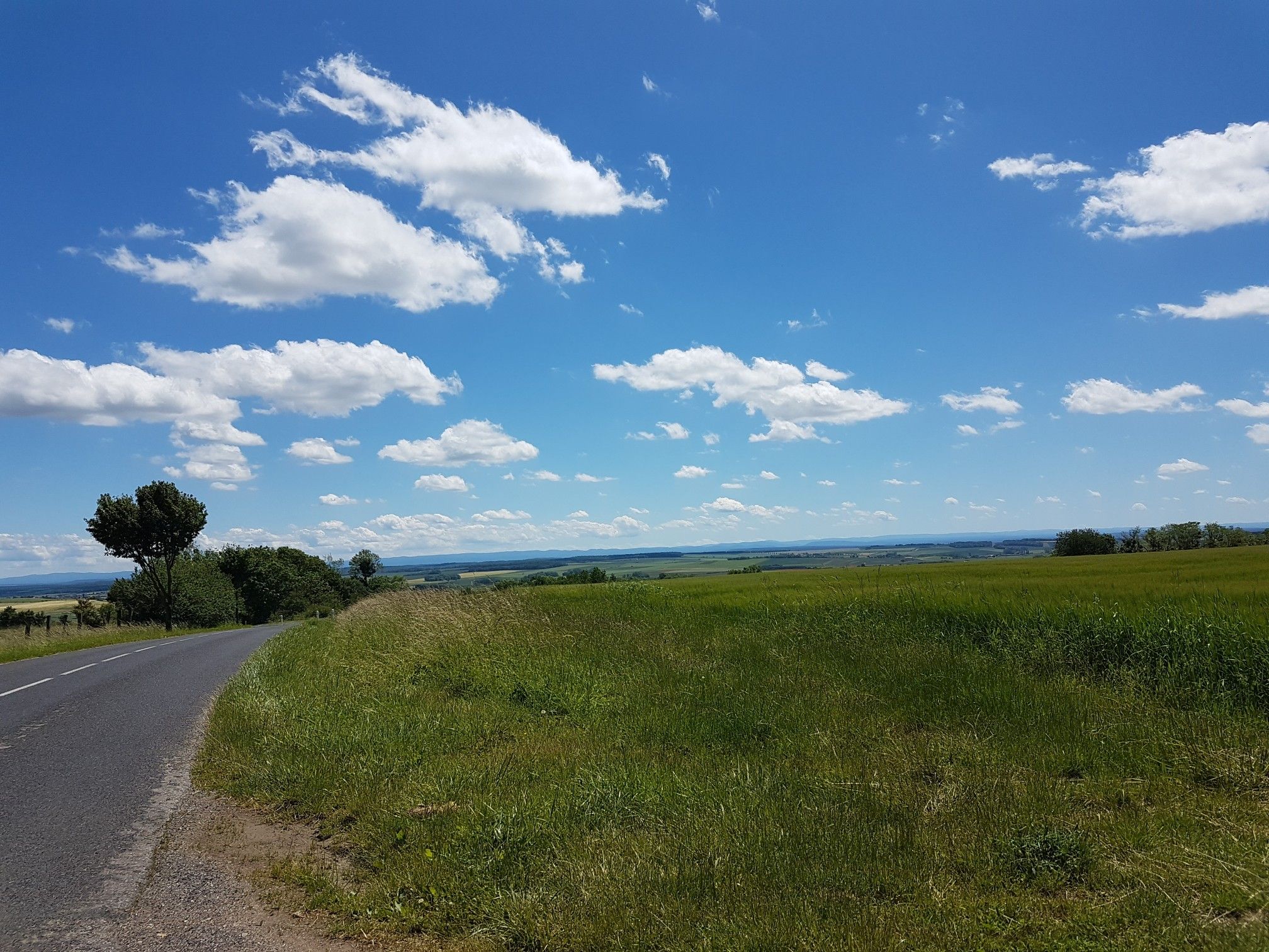 1. Blick auf die Vogesen