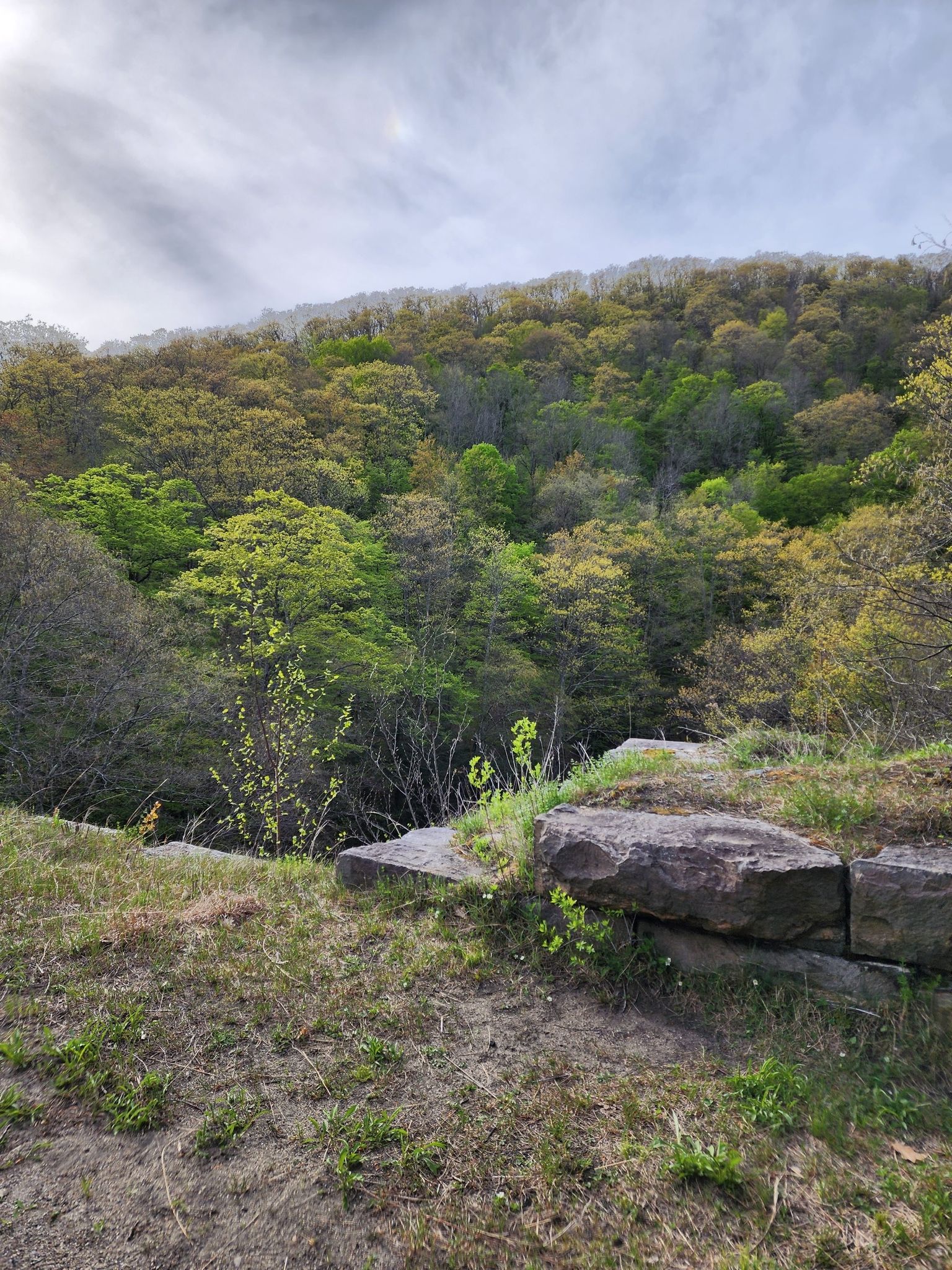 Lush green forested hillside under a cloudy sky, with large rocks. - Keystone Arch Bridges Trail