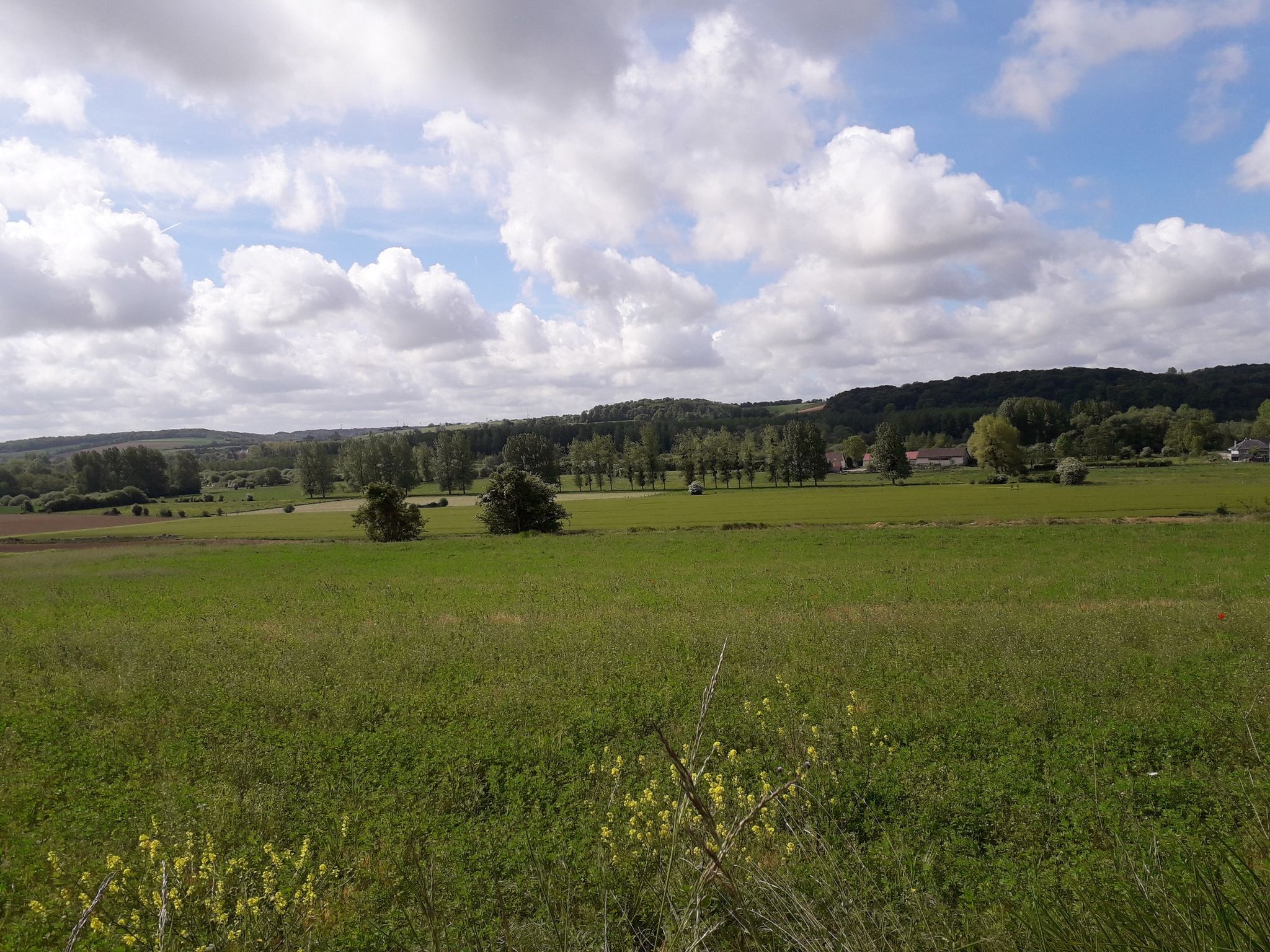 vue sur la vallée de la canche