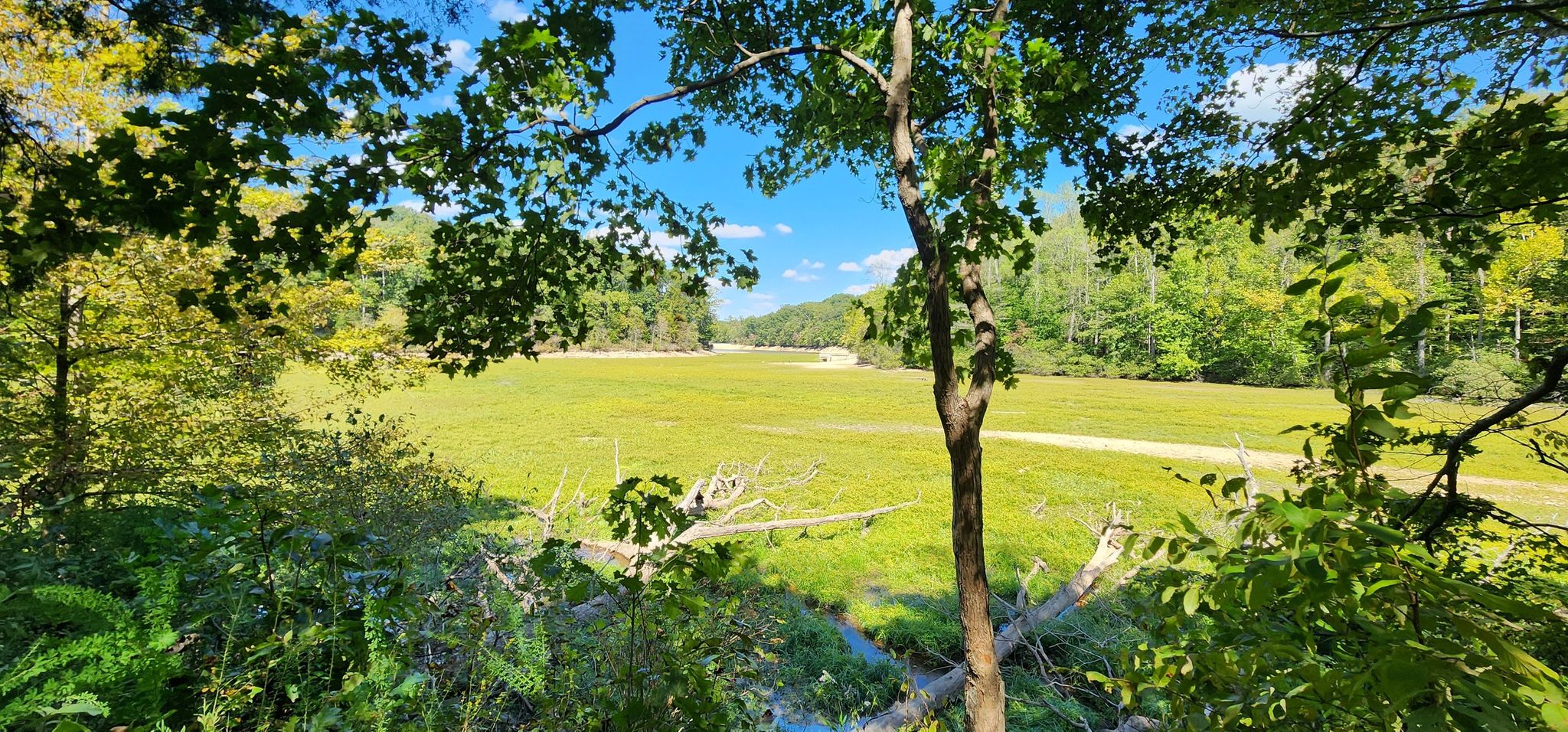 A vast green field surrounded by distant trees under a bright blue sky. - Lake Woodhaven – Wildcat Hallow Creek loop from John Duke Lake Dam