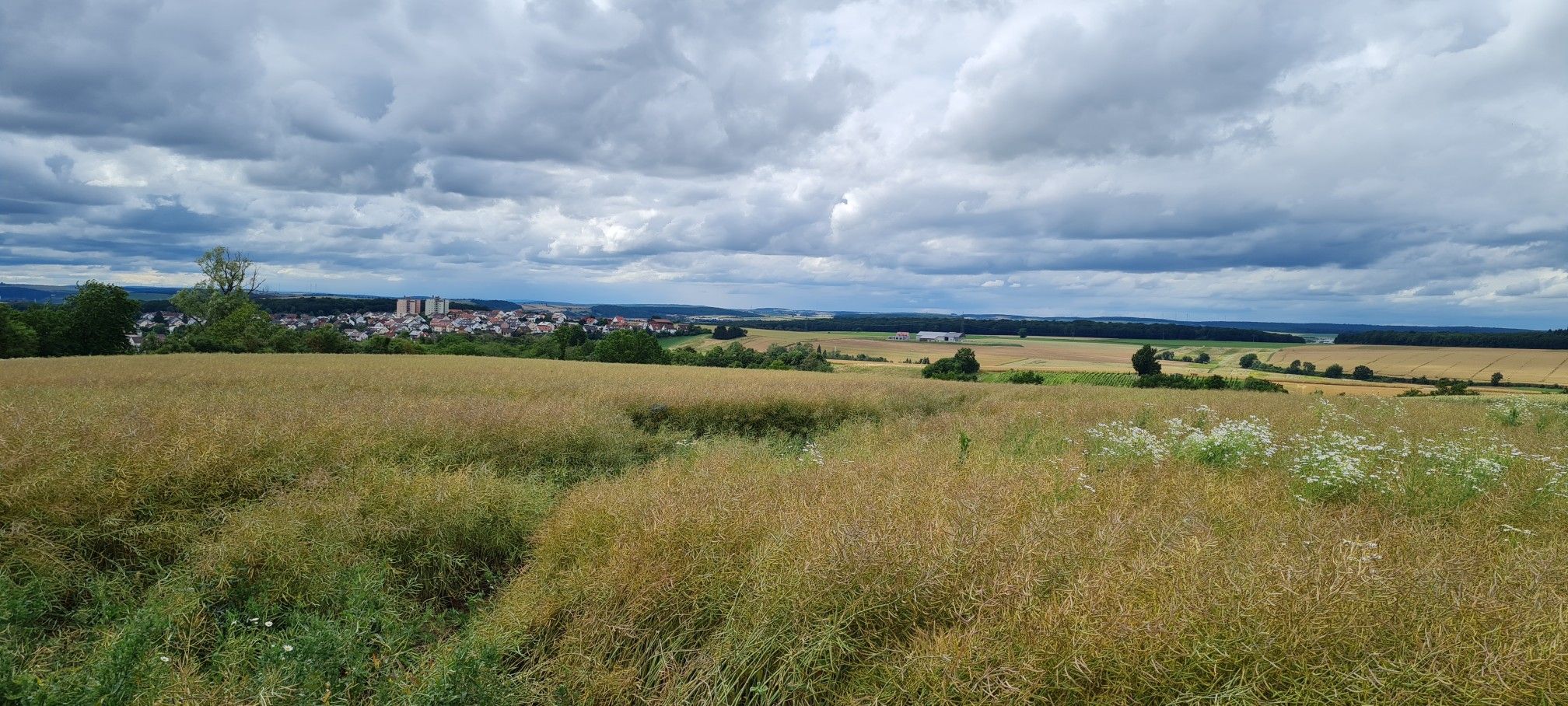 Blick über Rottendorf