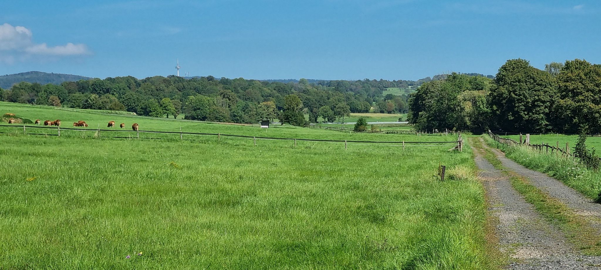 Hoherodskopfblick von der "Stumpe Kirch"