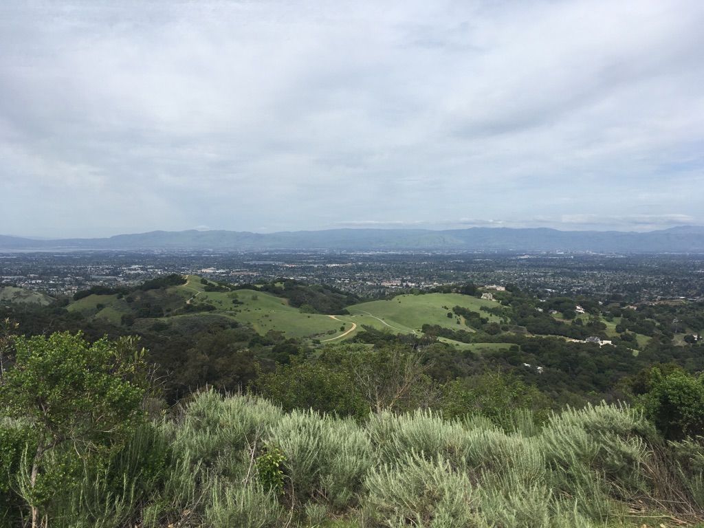 Overcast view of green hills and a sprawling city in the distance. - Maisie's Peak via Parker Ranch Trail