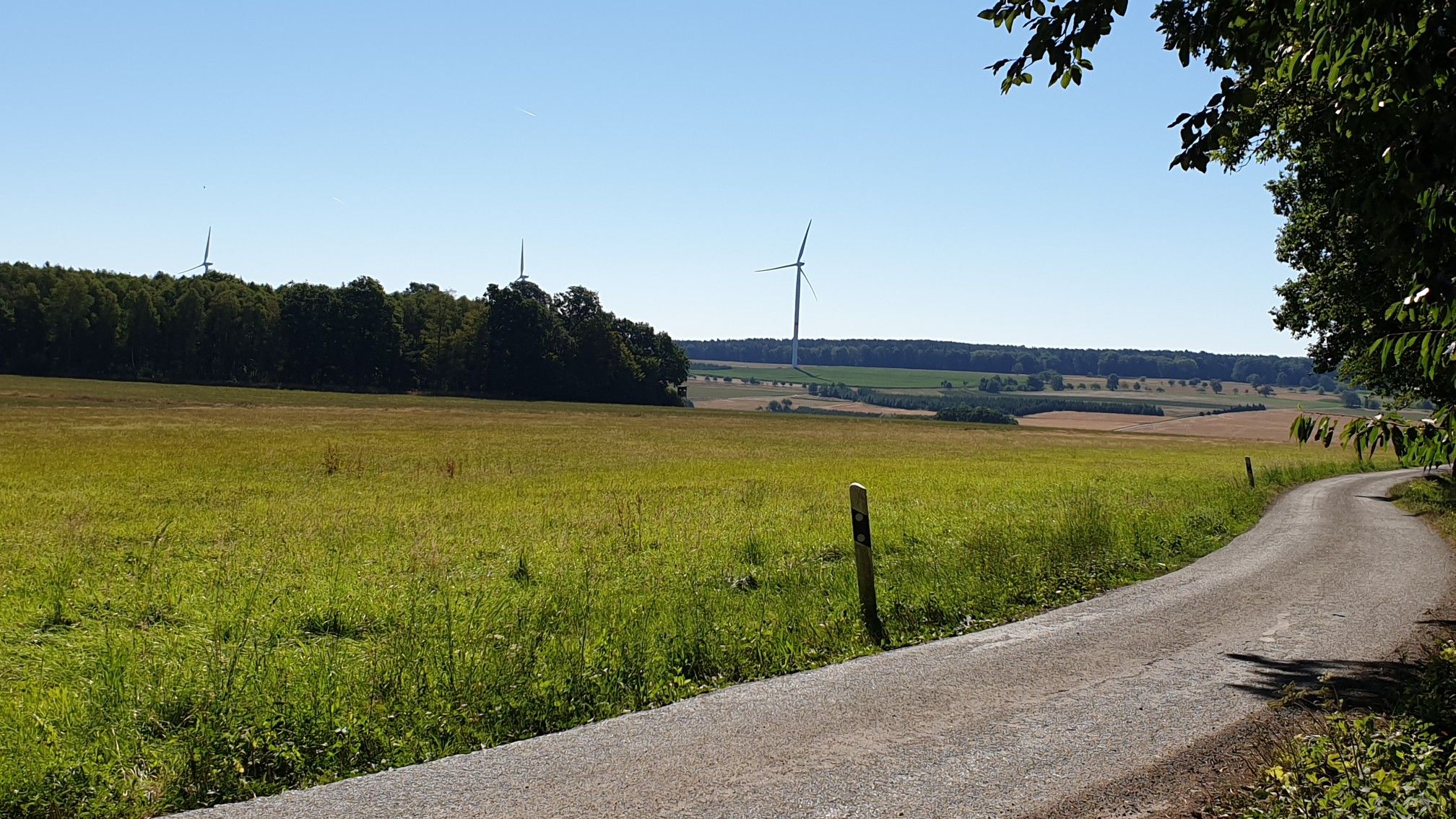 Windräder bei Steinbach 