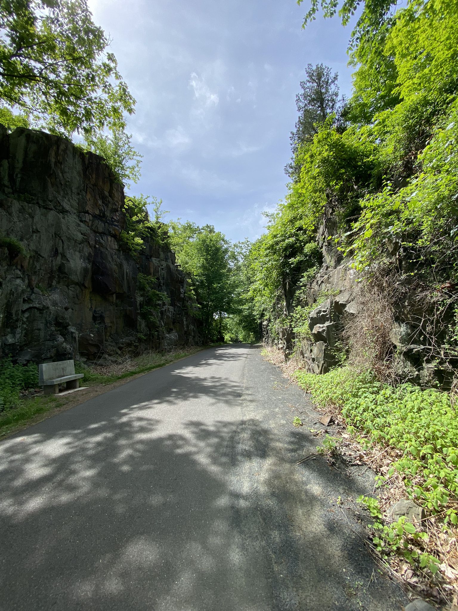 Paved path through a sunny rock cut with green trees overhead. - Farmington Canal Heritage Trail