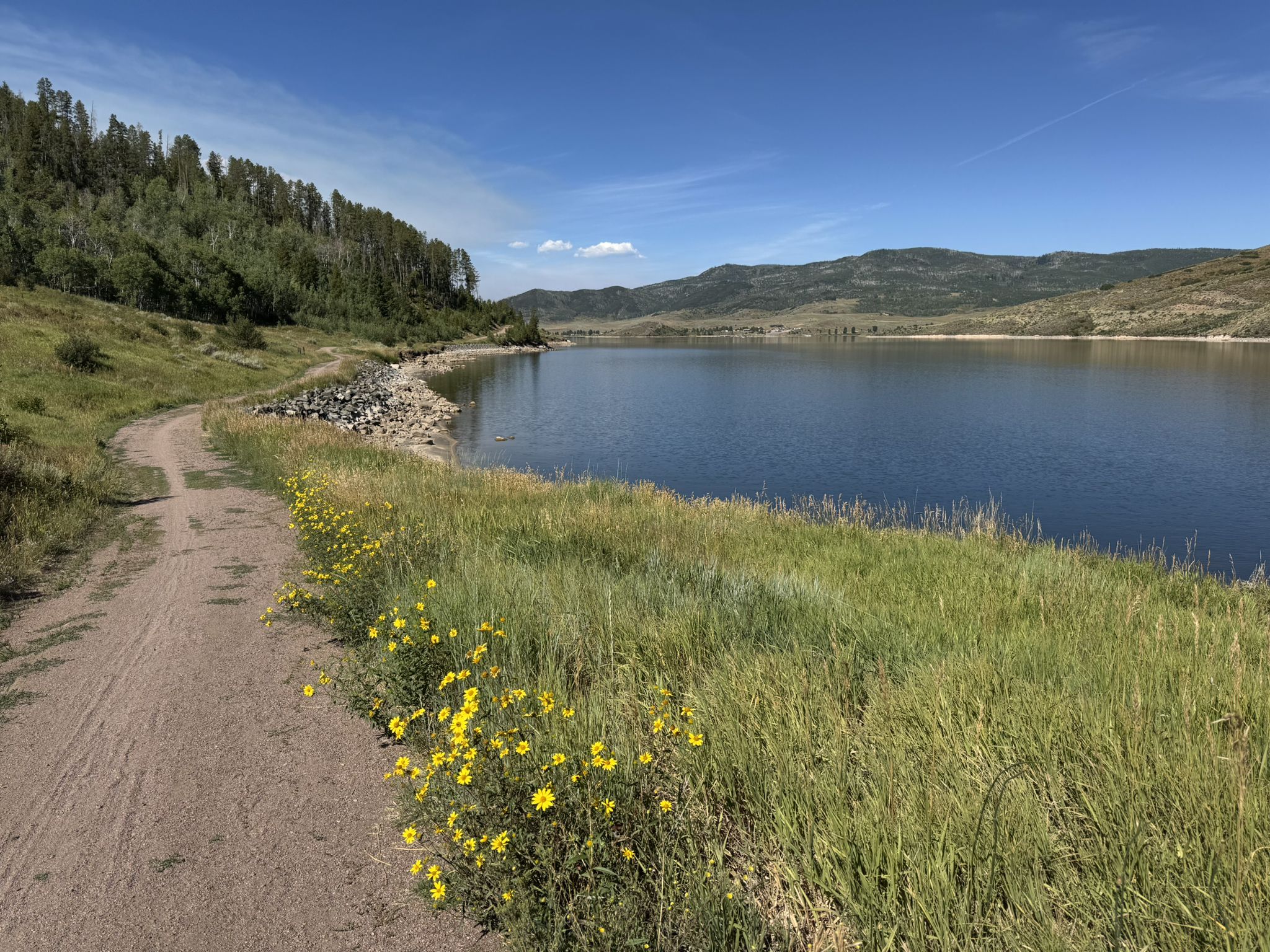 A dirt path with yellow flowers next to a lake and forested hills. - Stagecoach Reservoir loop from Oak Creek