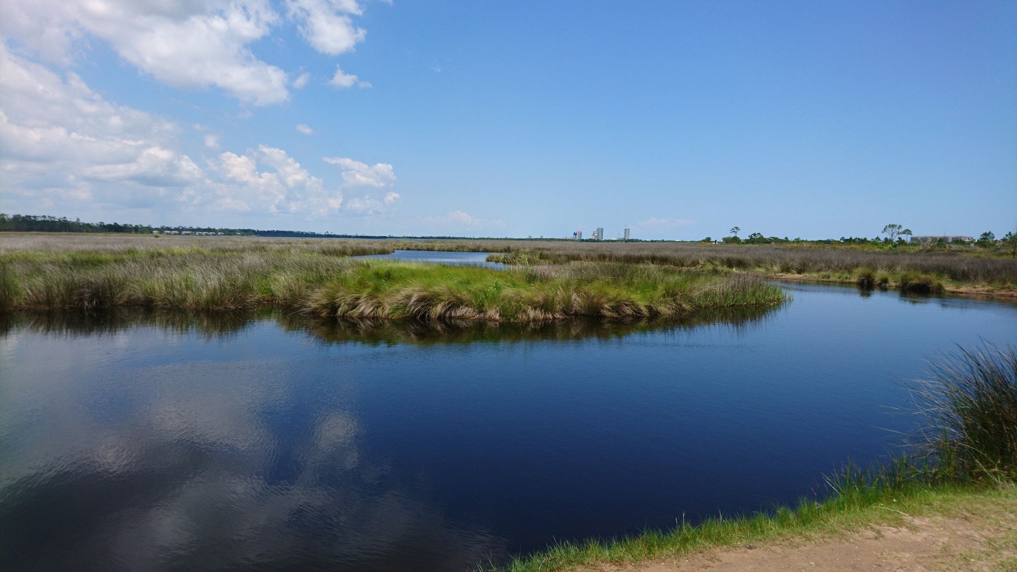 Expansive marshland with dark water reflecting a bright blue sky. - Lake View Trail loop