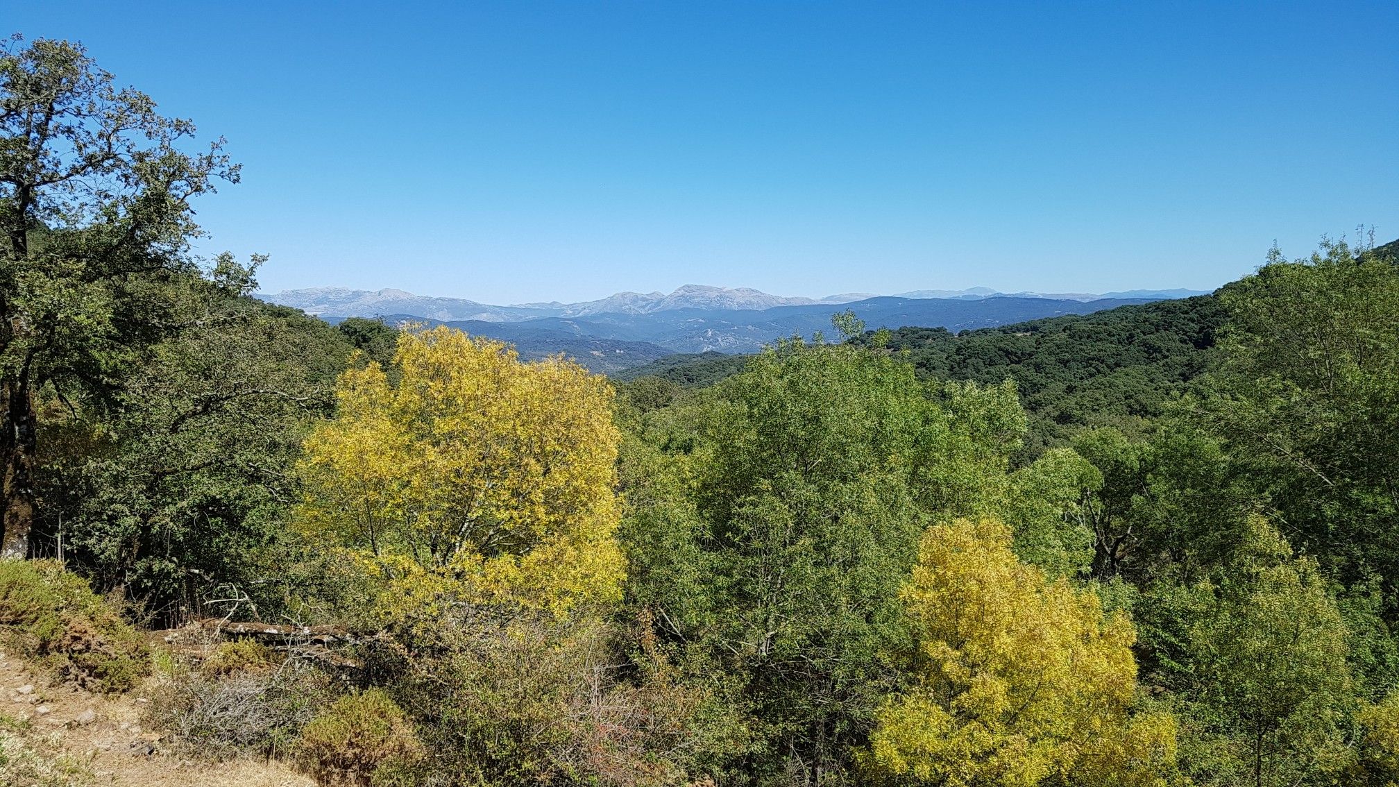 Talblick Sierra de Grazalema