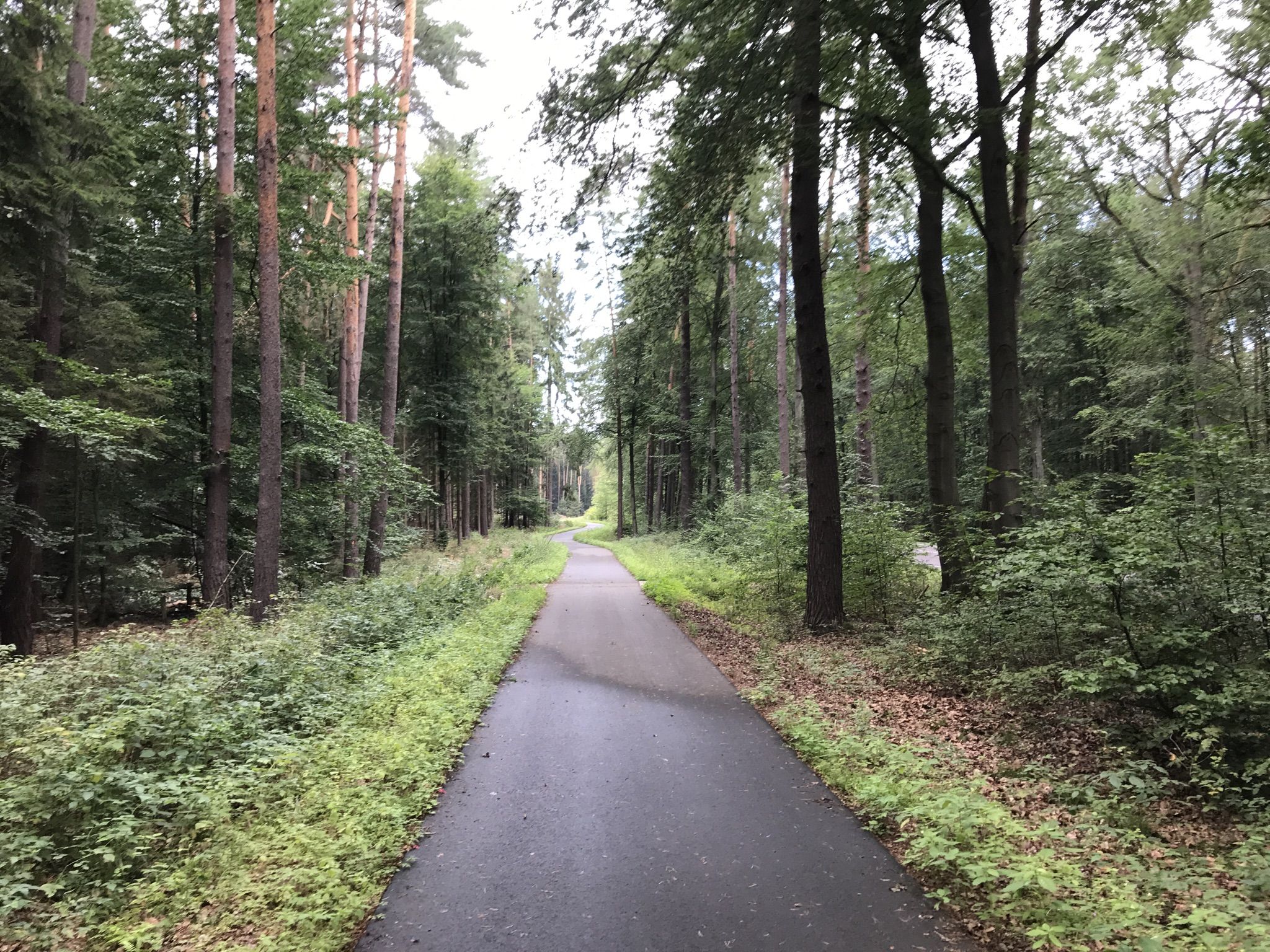 schöner Radweg