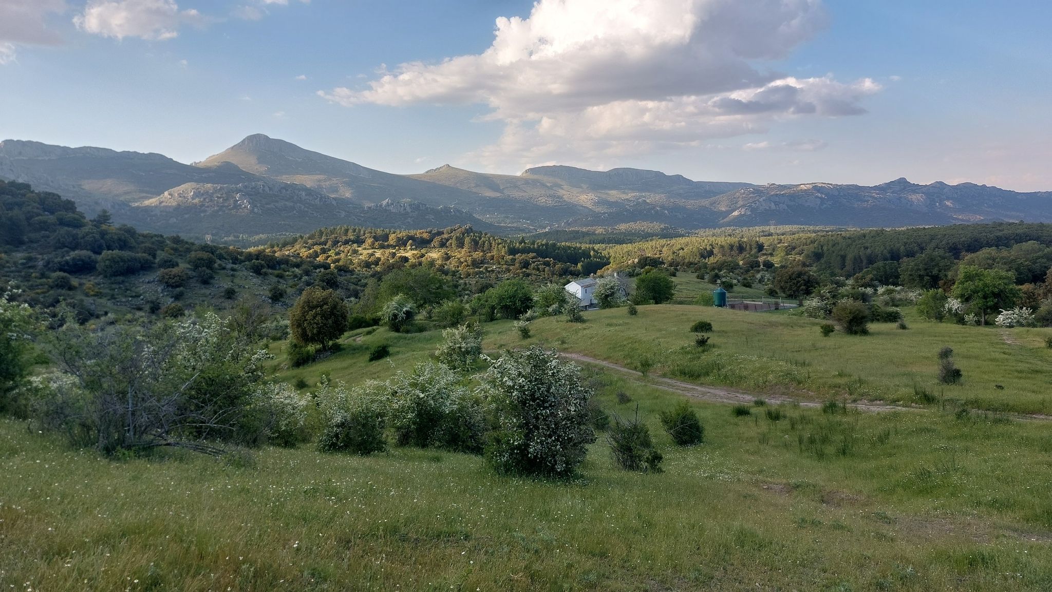 El Chorrillo y Sierra Arana al fondo (Peña de la Cruz, Cabeza de Caballo, Jinestral, etc.)