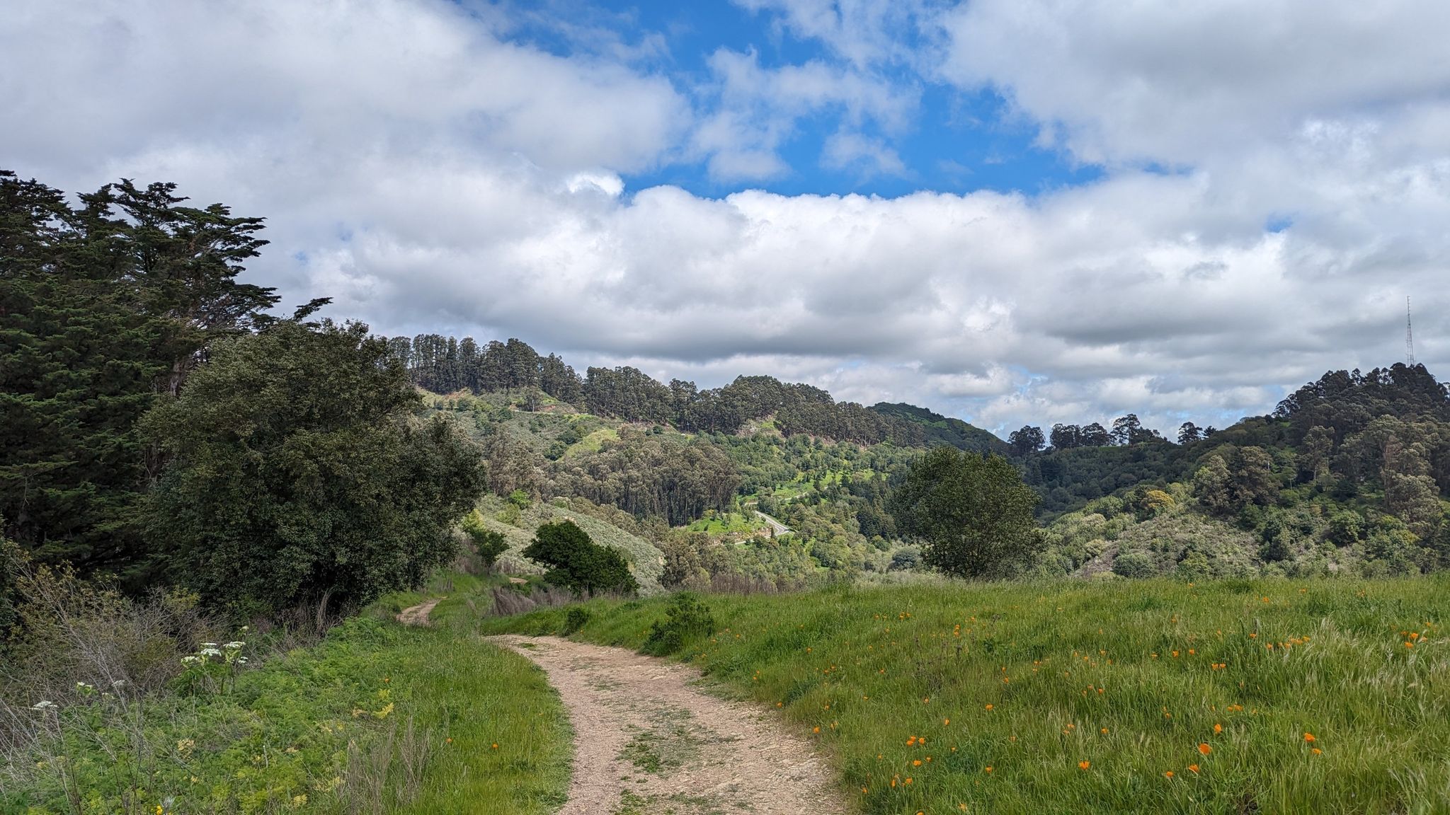 Dirt path through green grass, leading to wooded hills under cloudy sky. - Chaparral Peak via Stonewall-Panoramic Trail