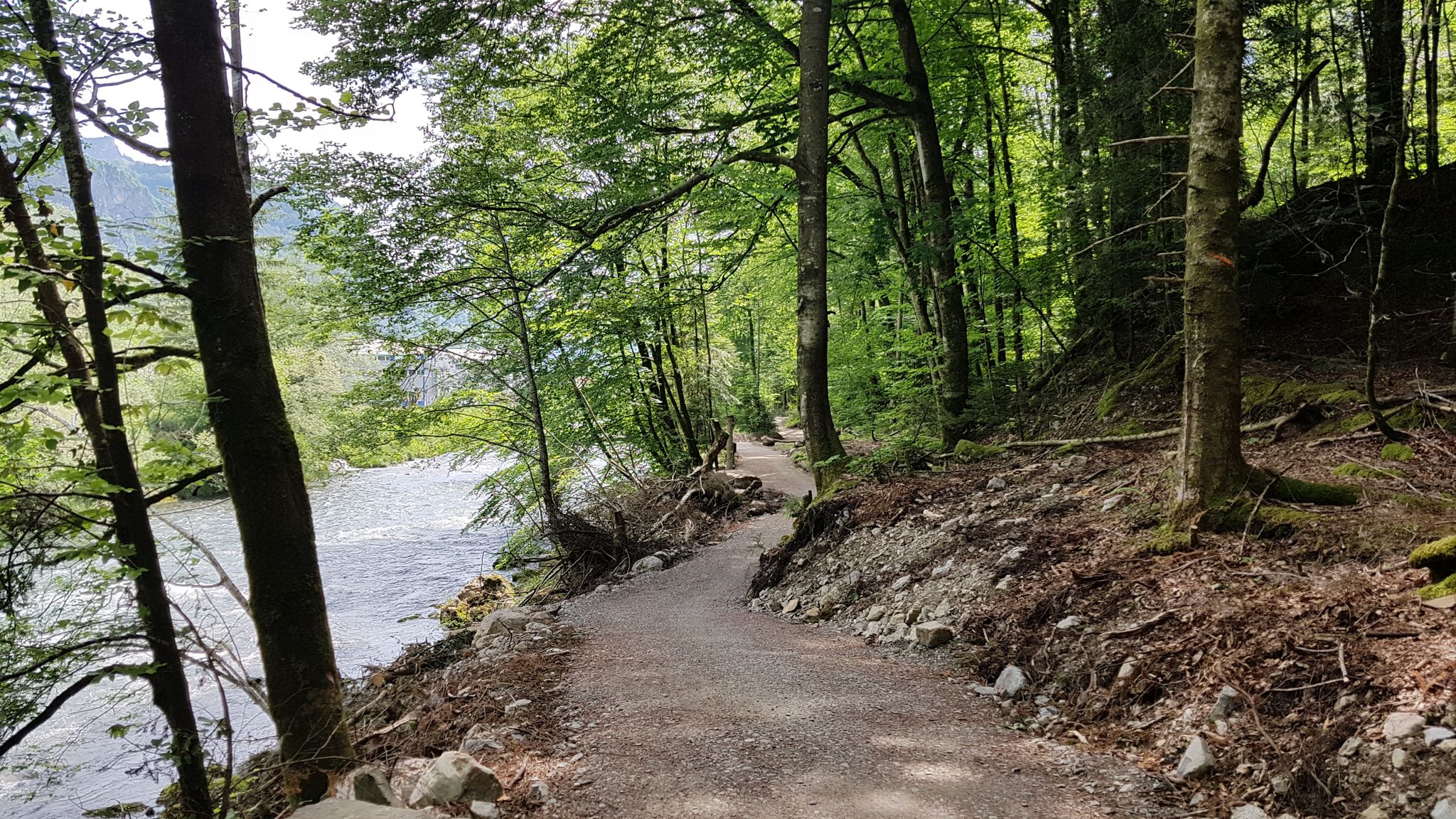 Der neu angelegte Weg der Muota entlang