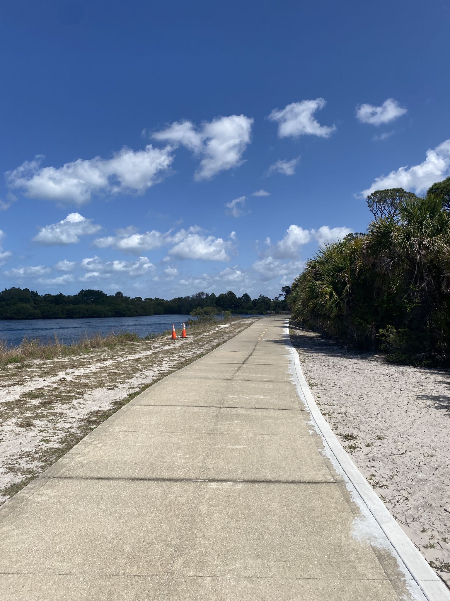 Paved path beside water and trees under a bright cloudy sky. - Venetian Waterway Trail loop from Venice