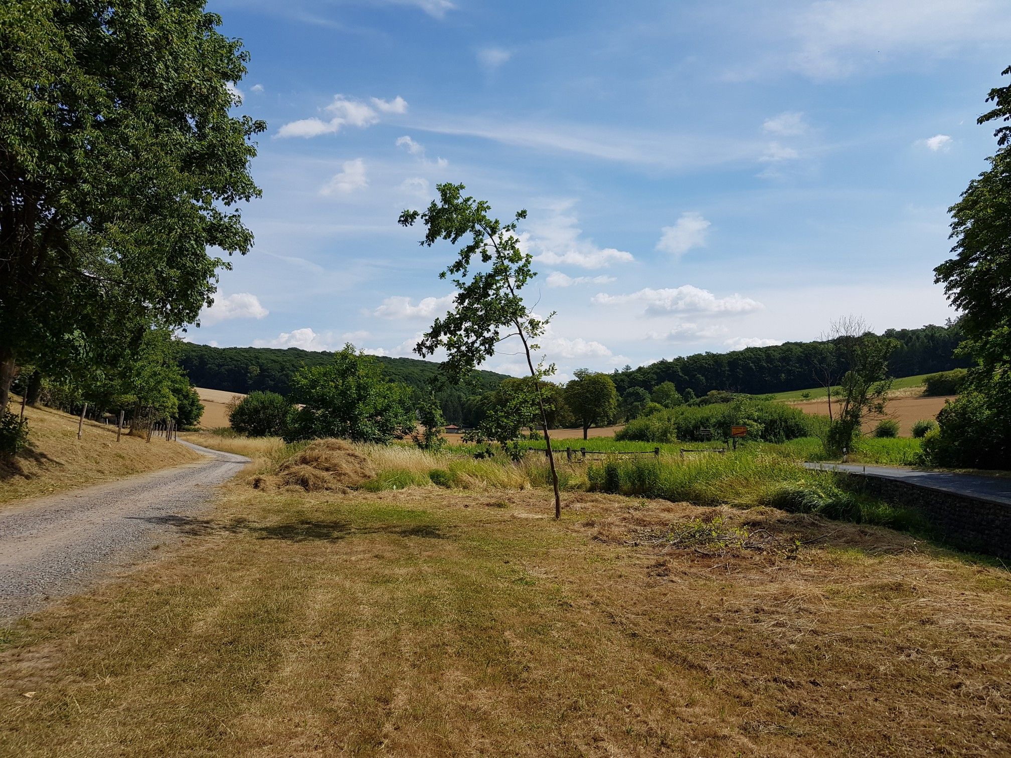 Einfahrt Reitlingstal