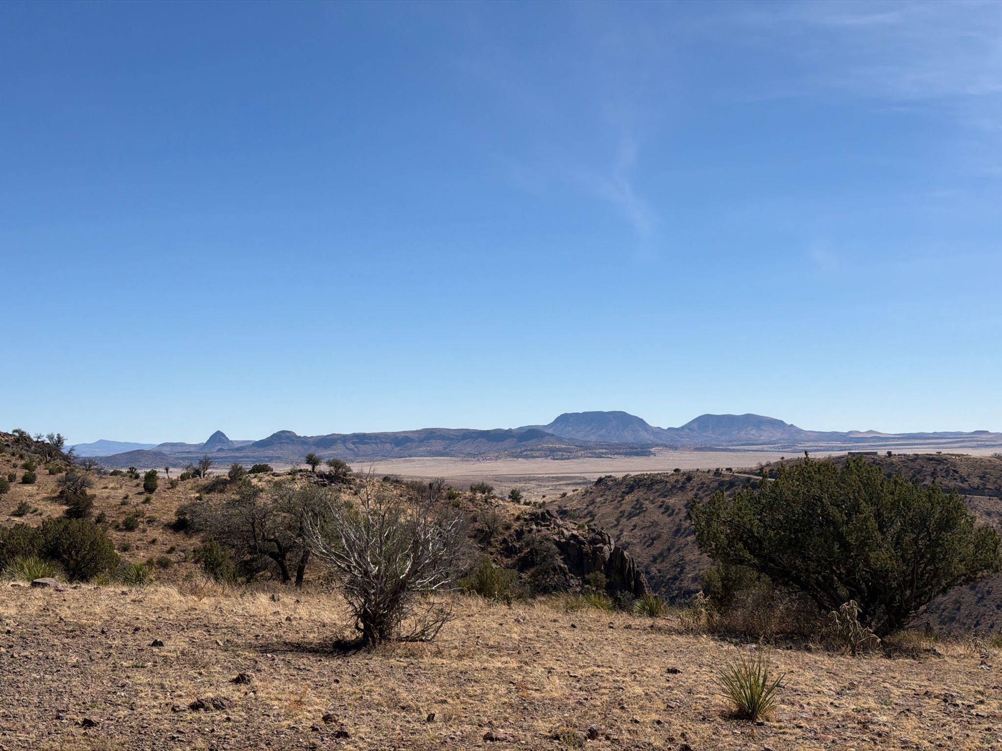 Bright desert landscape with dry brush, a valley, and distant mountains under blue sky. - Limpia Creek Vista loop from Davis Mountains State Park